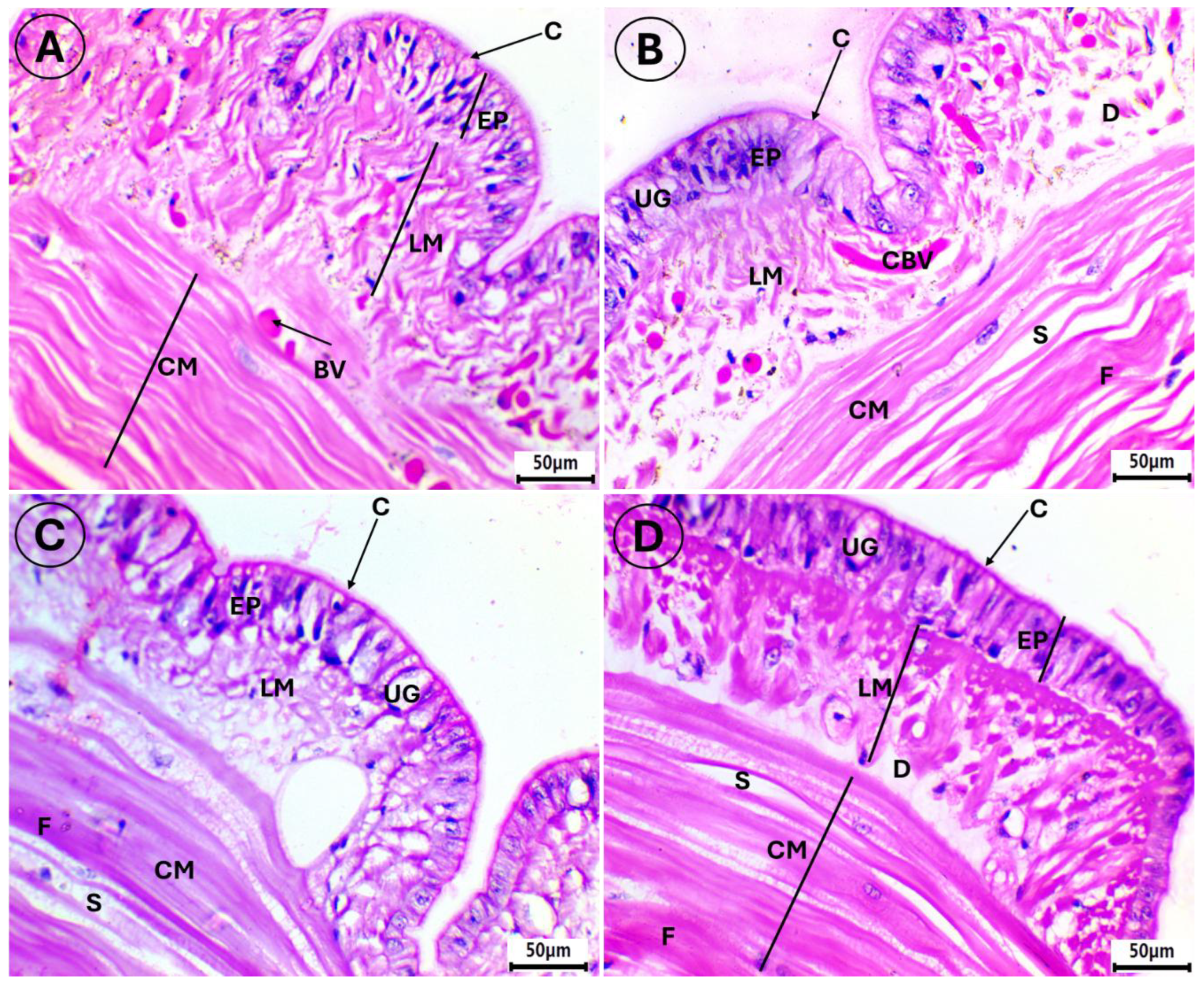 Microplastics 05 00012 g003