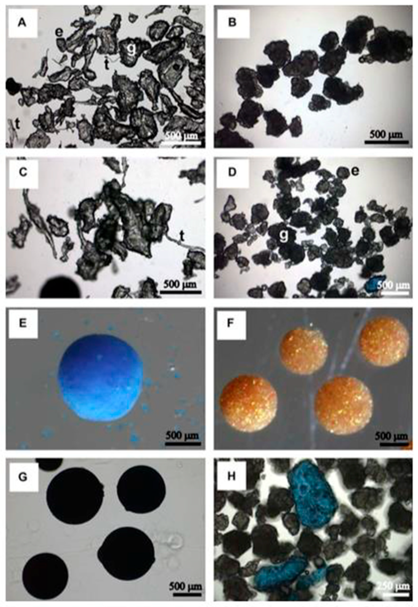 Microplastics 05 00018 g001 Microplastics 05 00018 g001