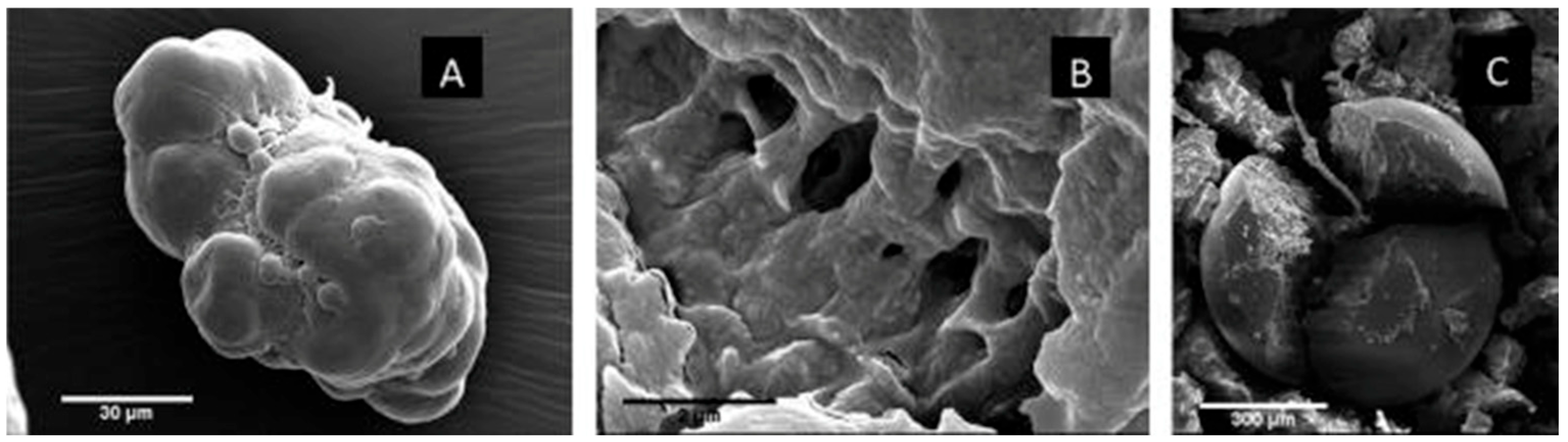 Microplastics 05 00018 g002 Microplastics 05 00018 g002