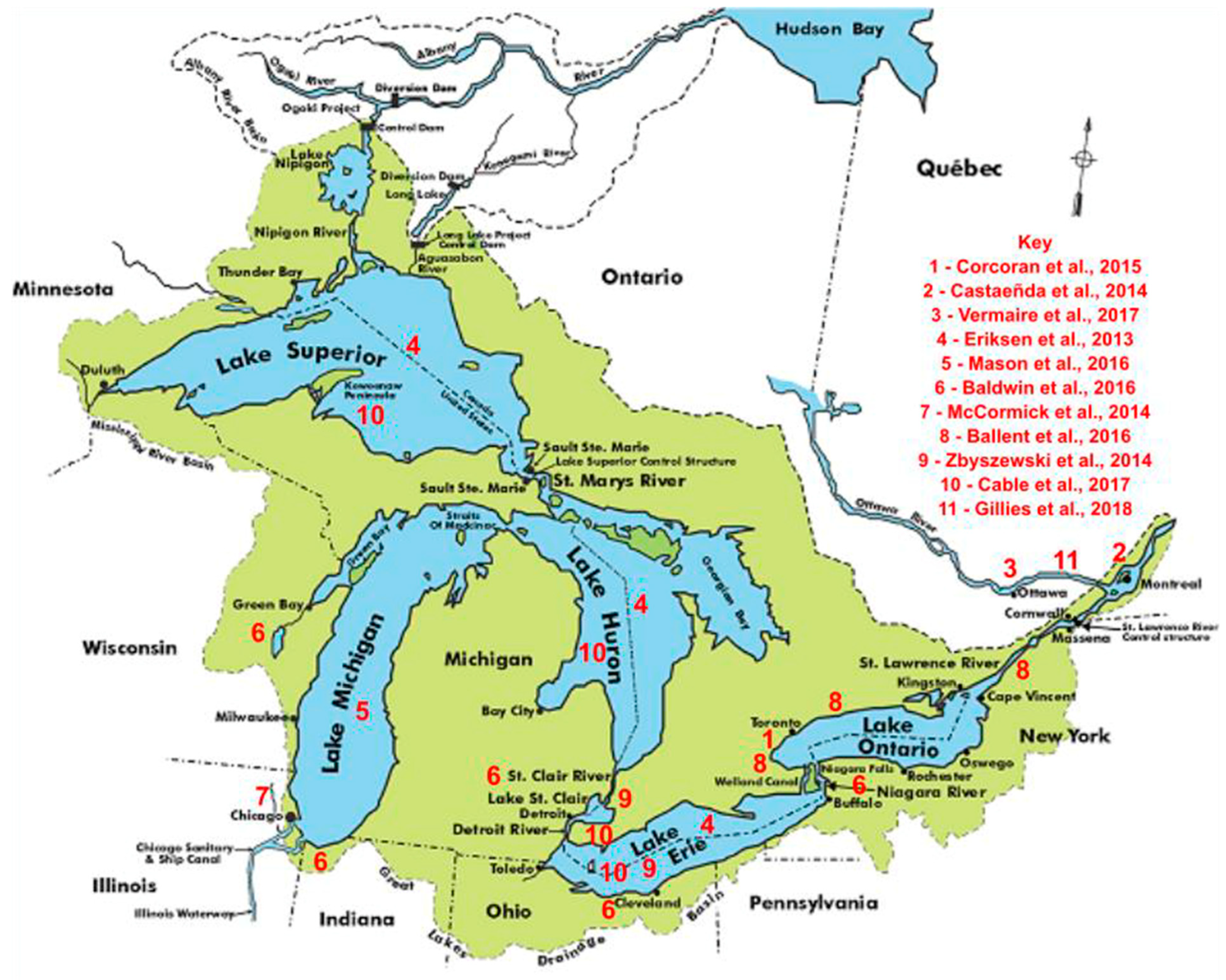 Microplastics 05 00018 g003 Microplastics 05 00018 g003