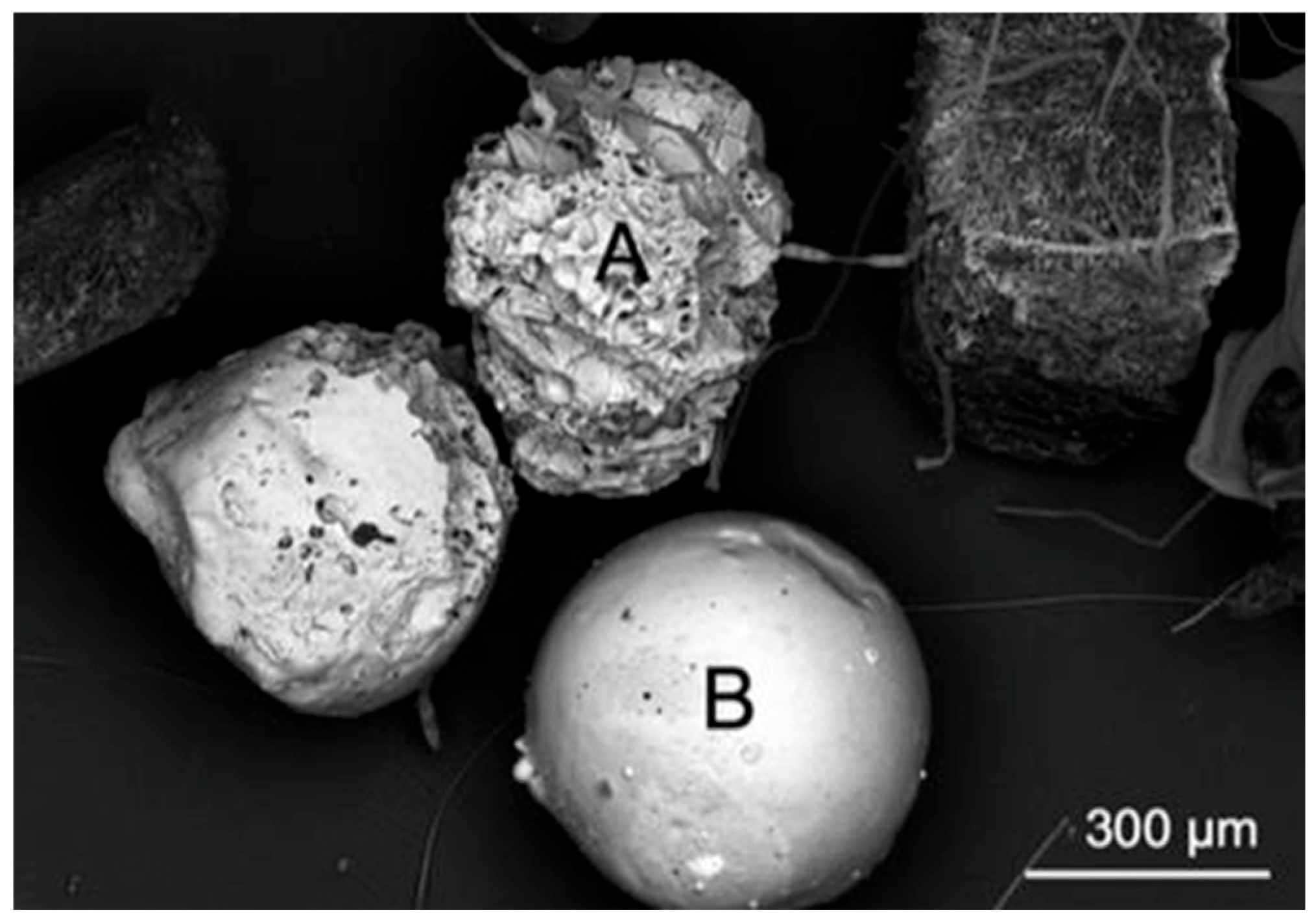 Microplastics 05 00018 g006 Microplastics 05 00018 g006