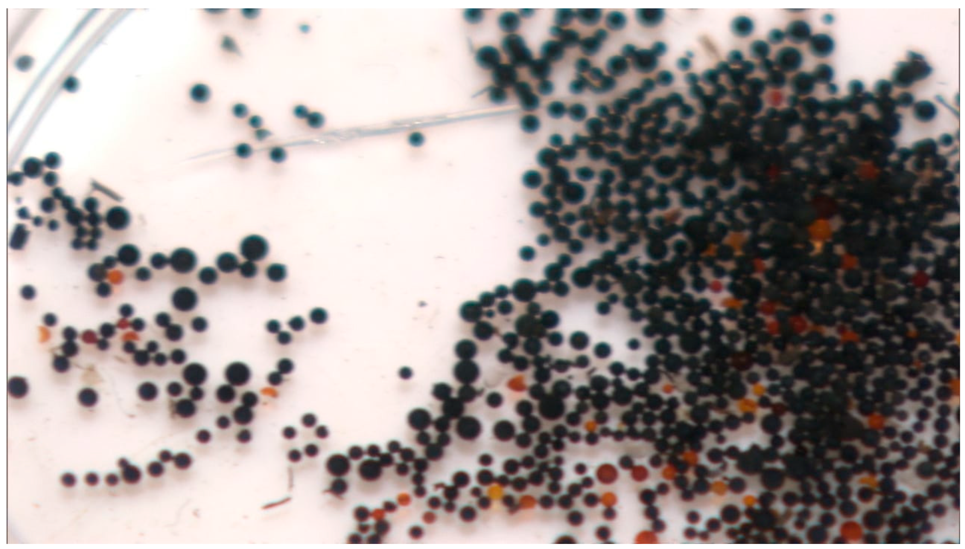 Microplastics 05 00018 g008 Microplastics 05 00018 g008