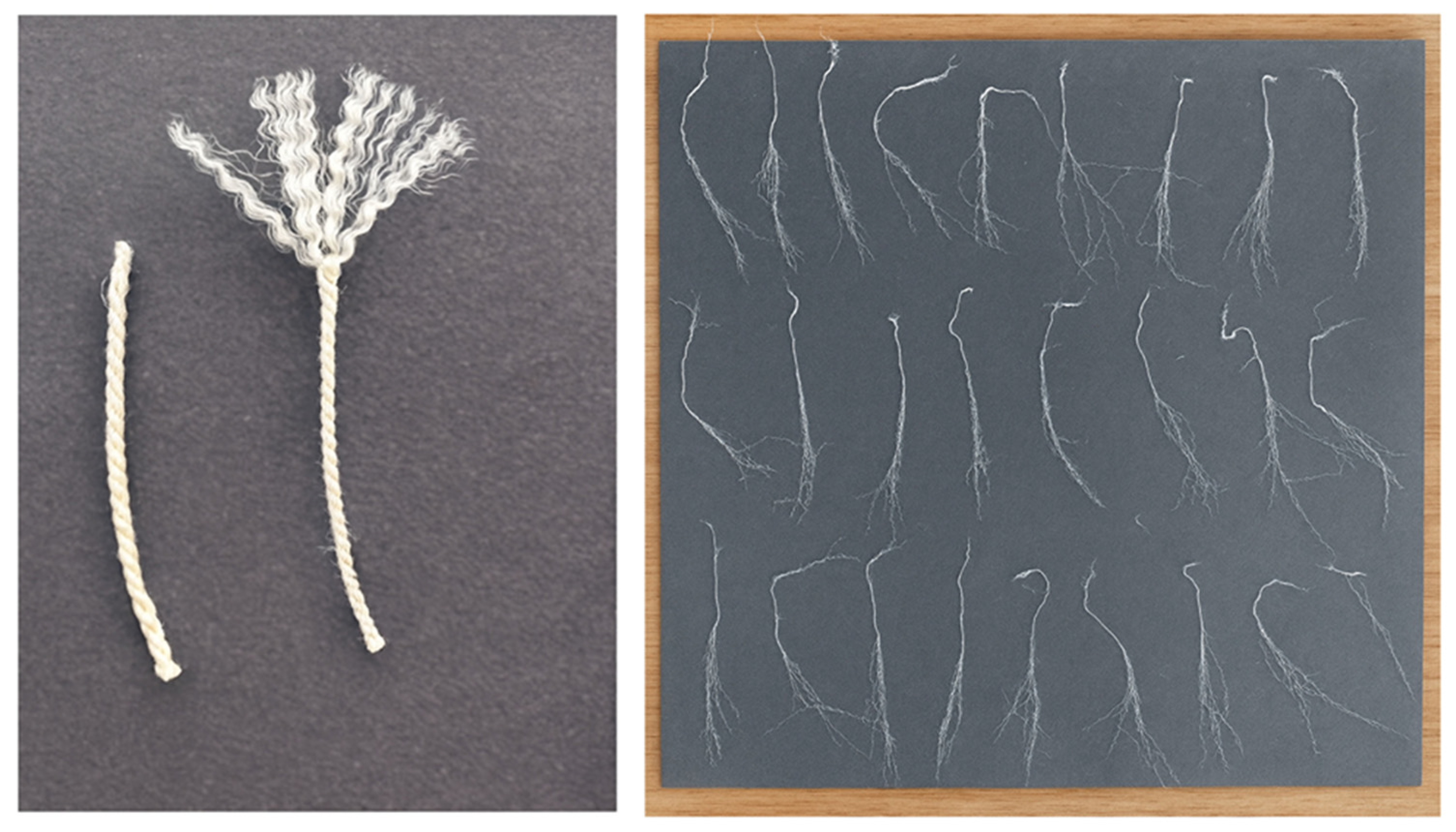 Microplastics 05 00023 g004 Microplastics 05 00023 g004