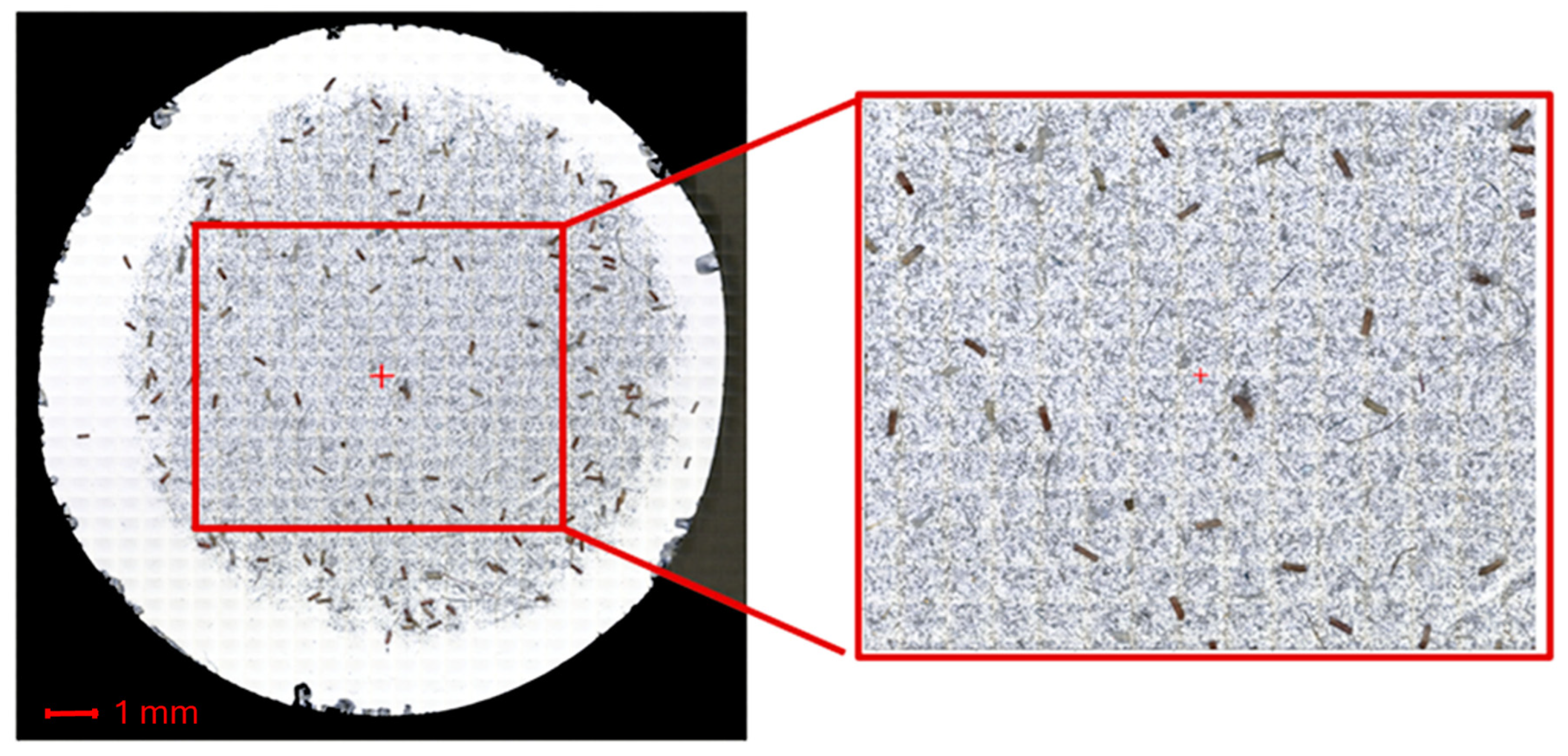 Microplastics 05 00023 g005 Microplastics 05 00023 g005