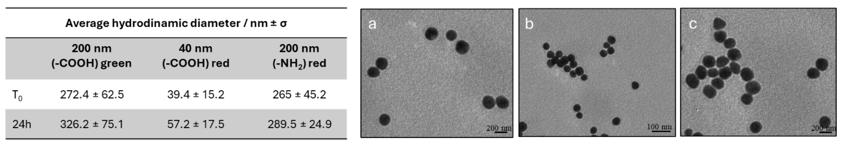 Microplastics 05 00031 g002