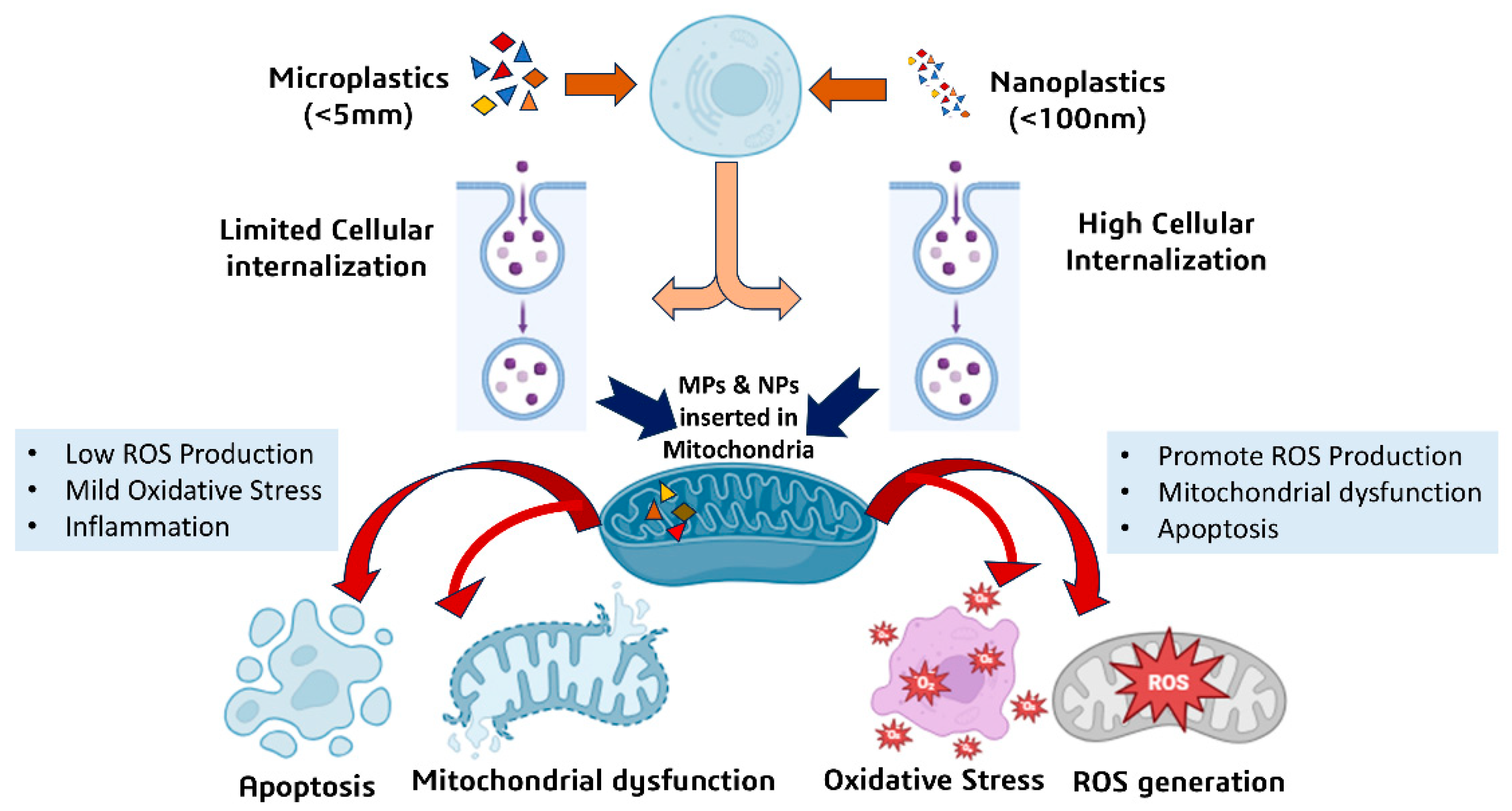 Microplastics 05 00036 g001