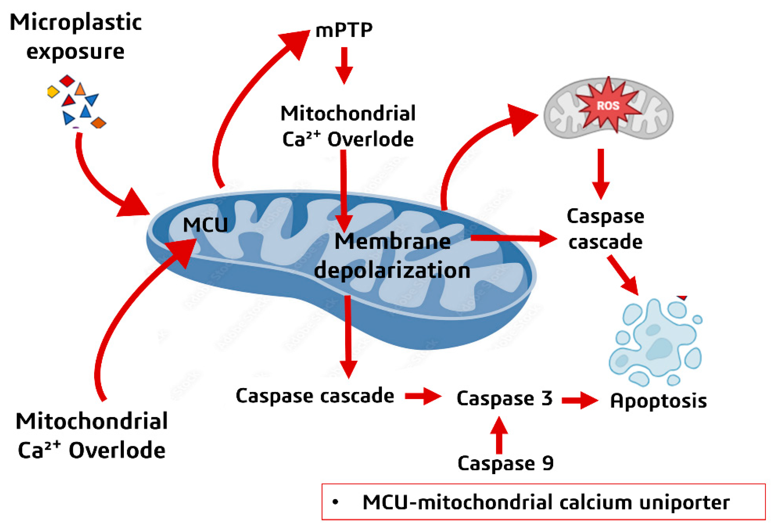 Microplastics 05 00036 g004