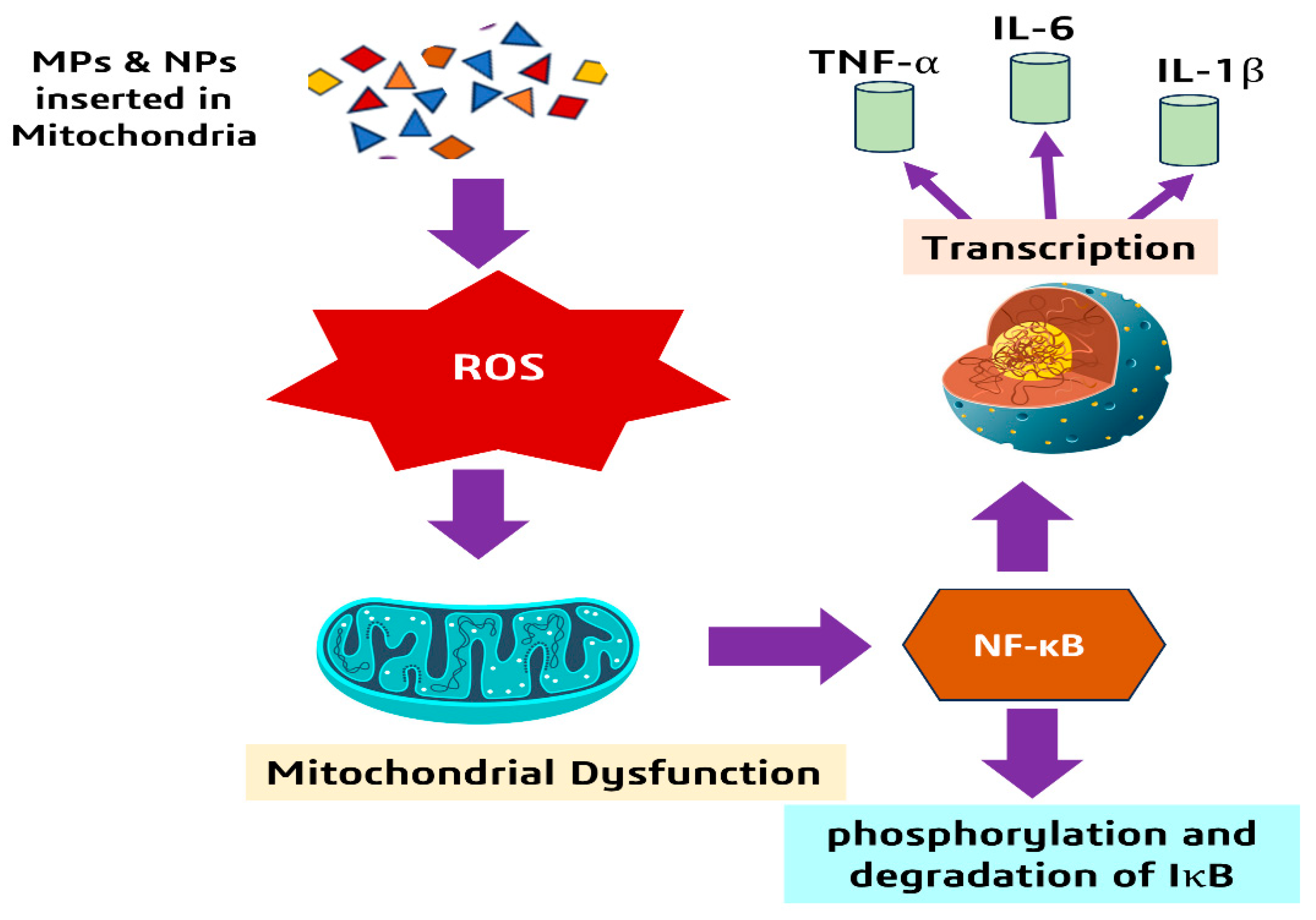 Microplastics 05 00036 g010