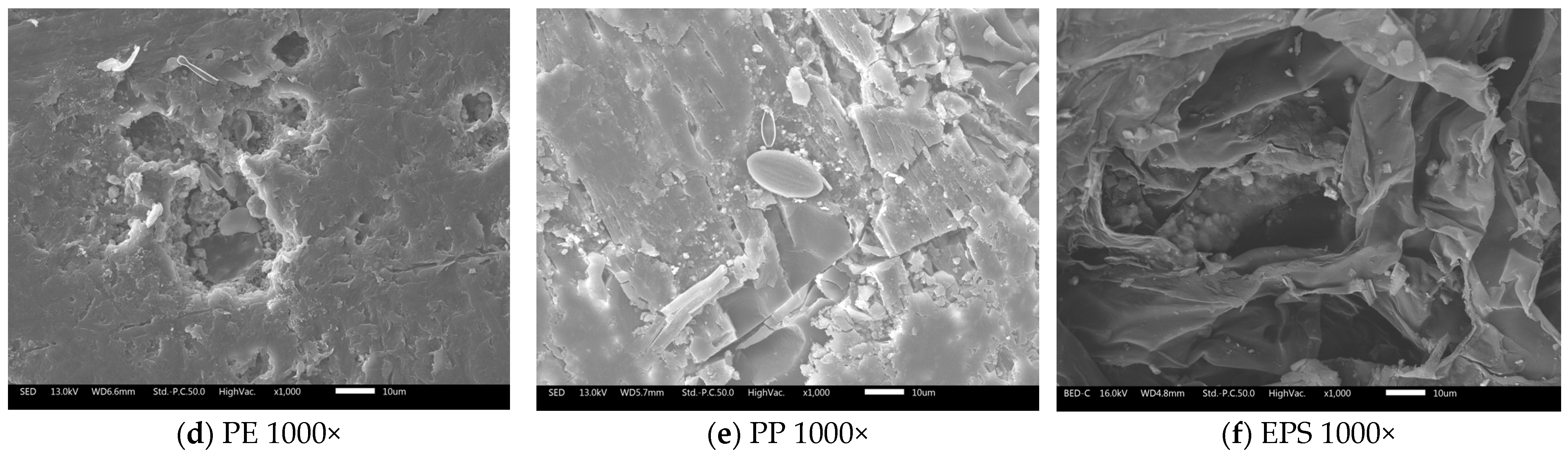 Microplastics 05 00057 g008b