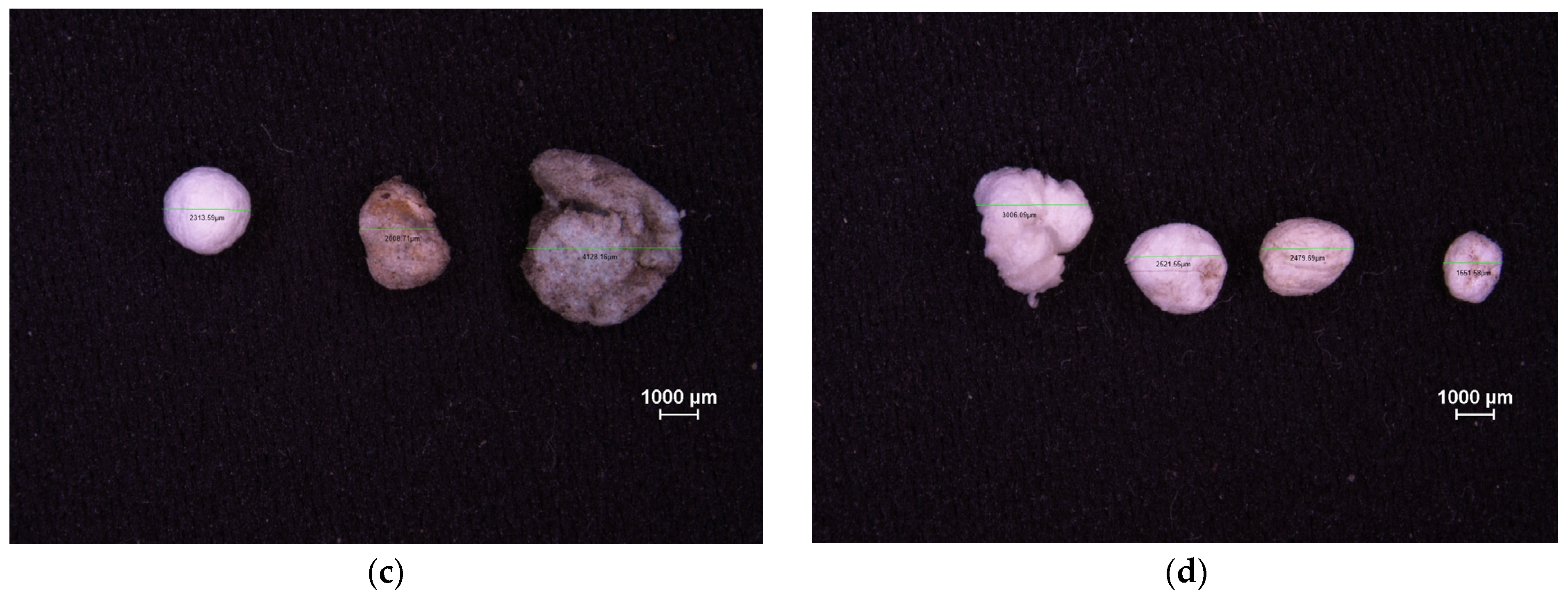 Microplastics 05 00057 g0a5b