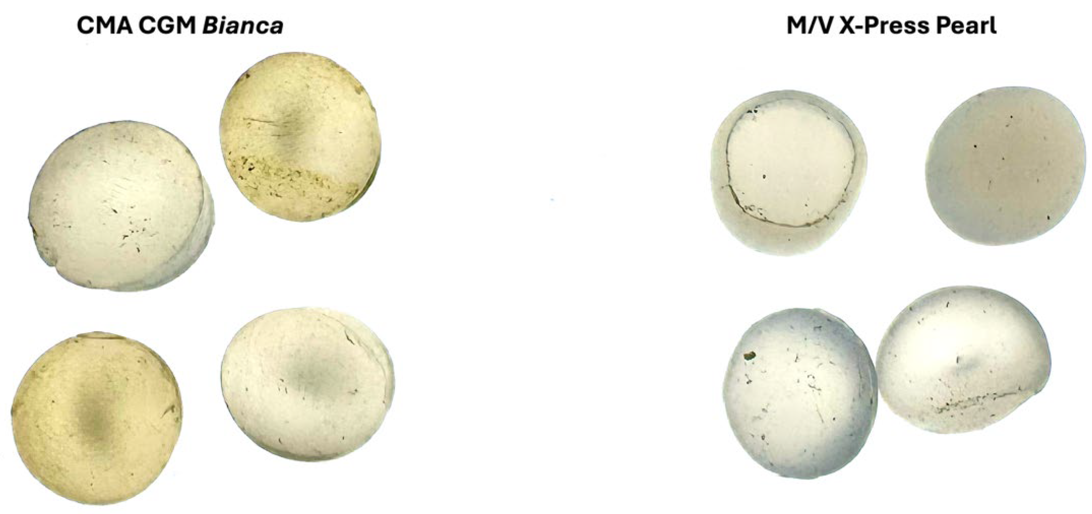 Microplastics 05 00106 g001 Microplastics 05 00106 g001