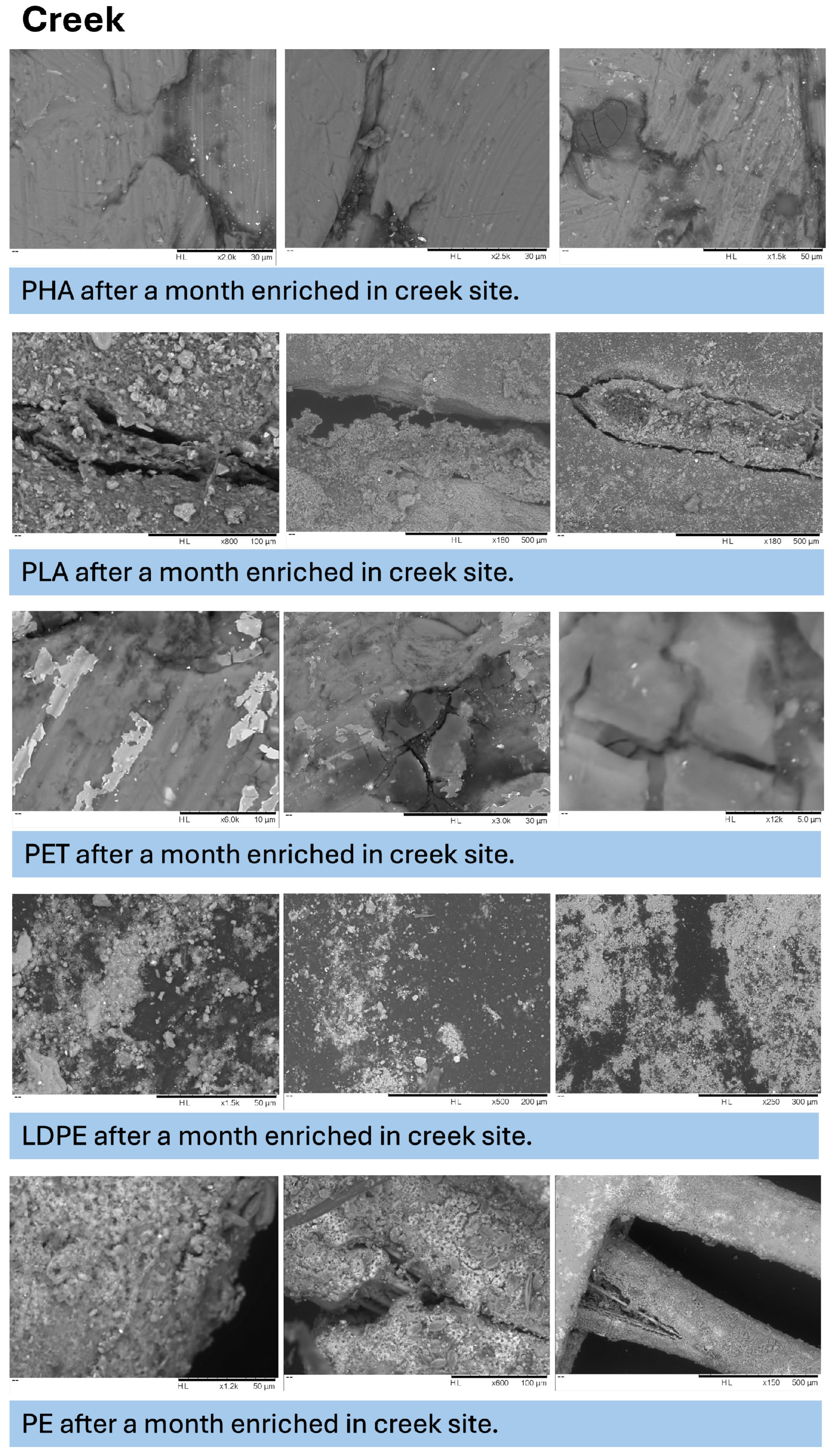 Microplastics 05 00119 g0a5