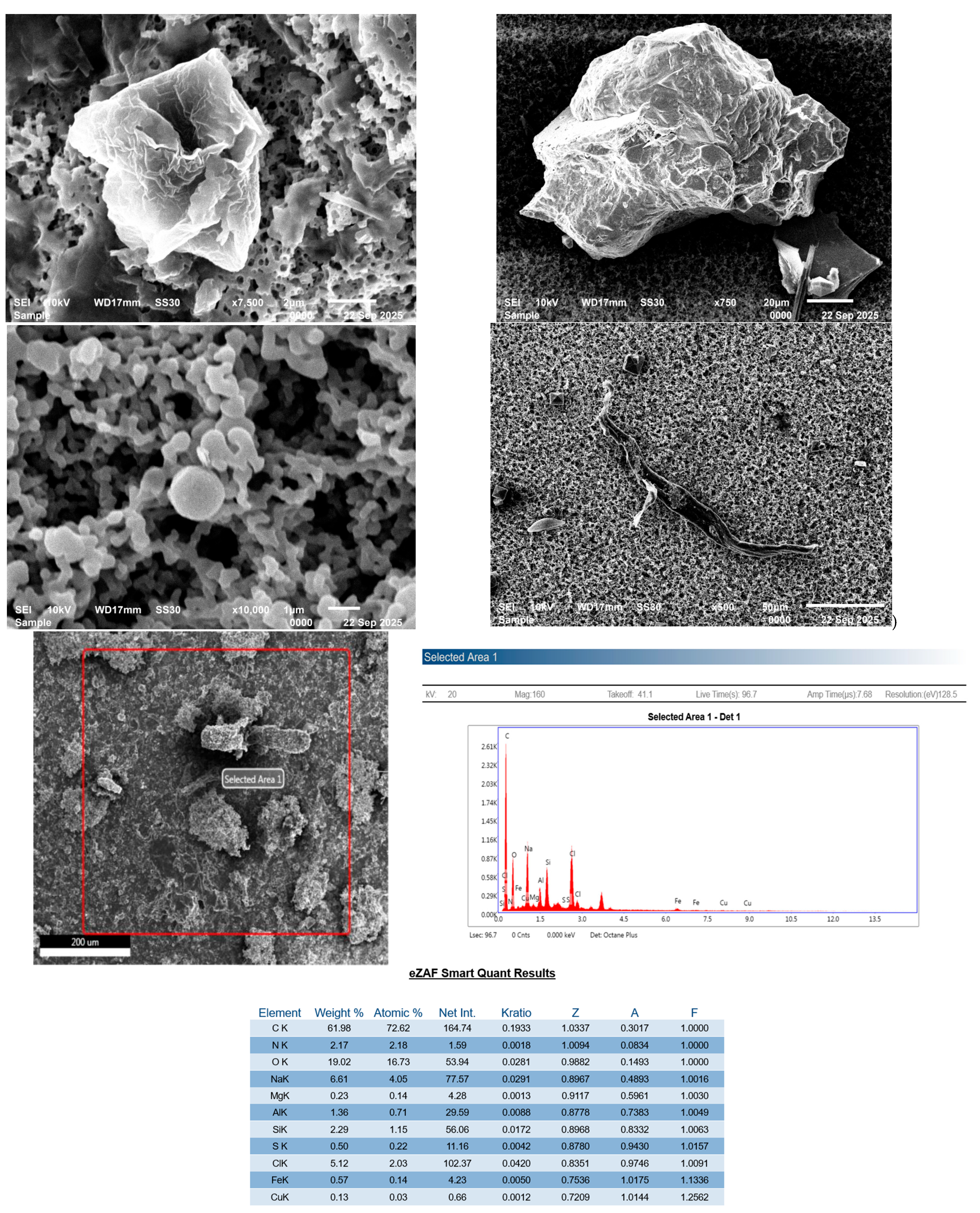 Microplastics 05 00125 g005a