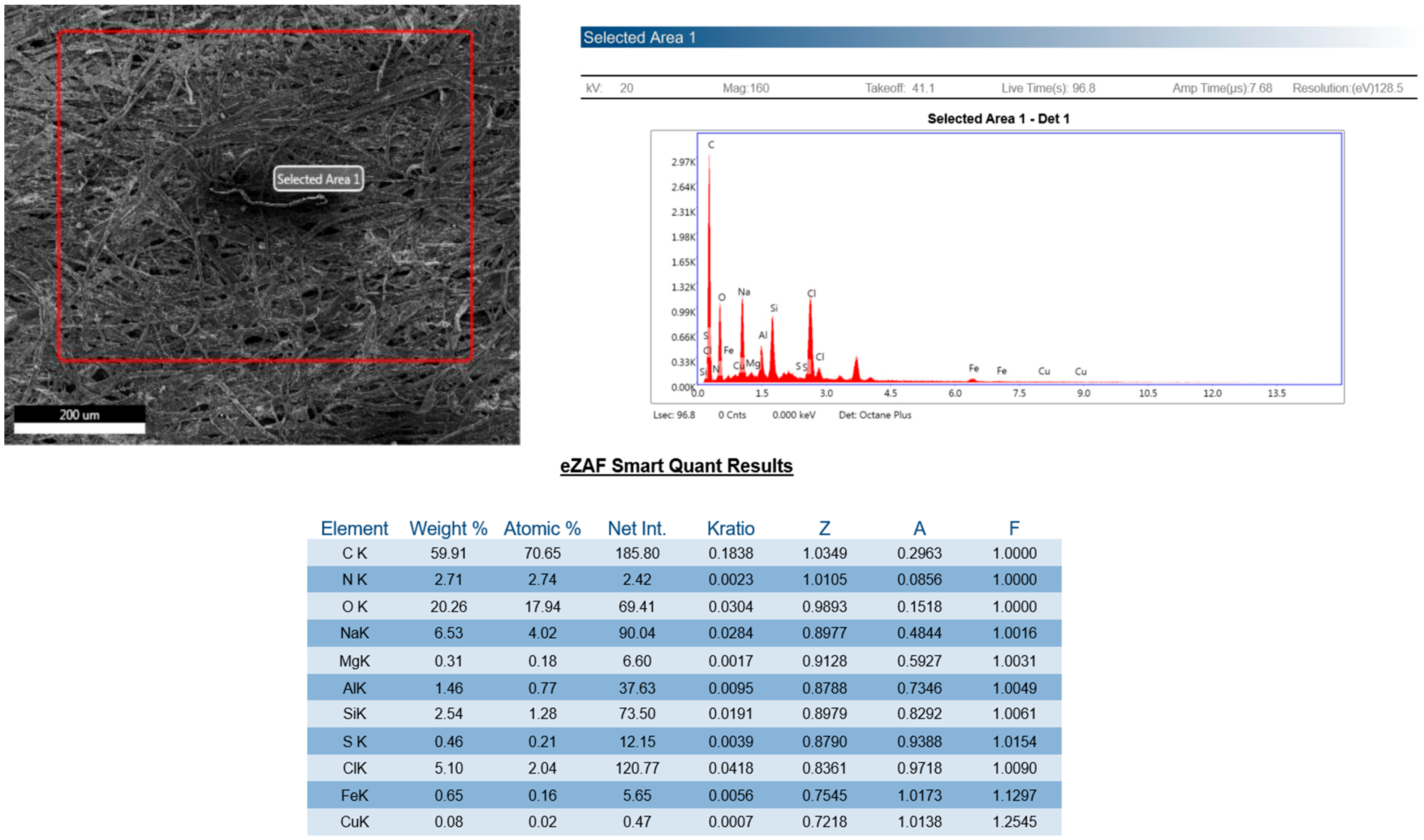 Microplastics 05 00125 g005b
