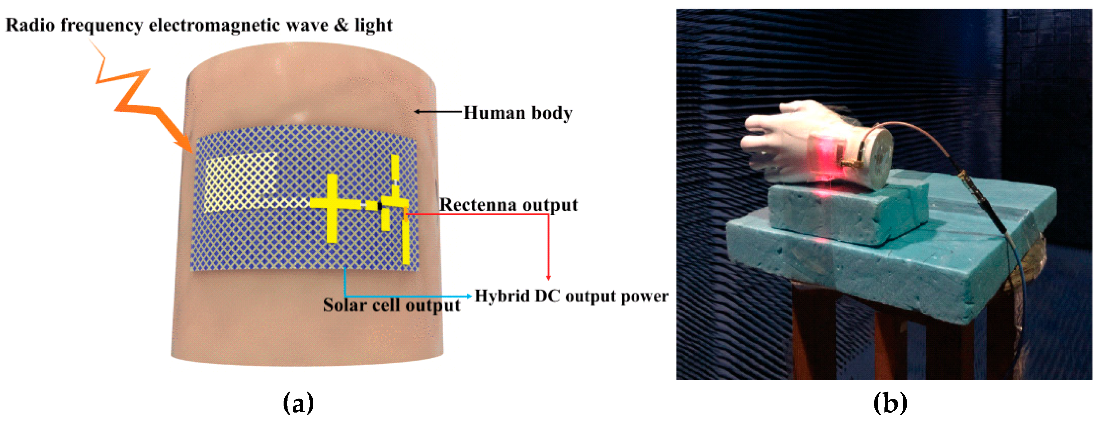 Microwave 01 00005 g024