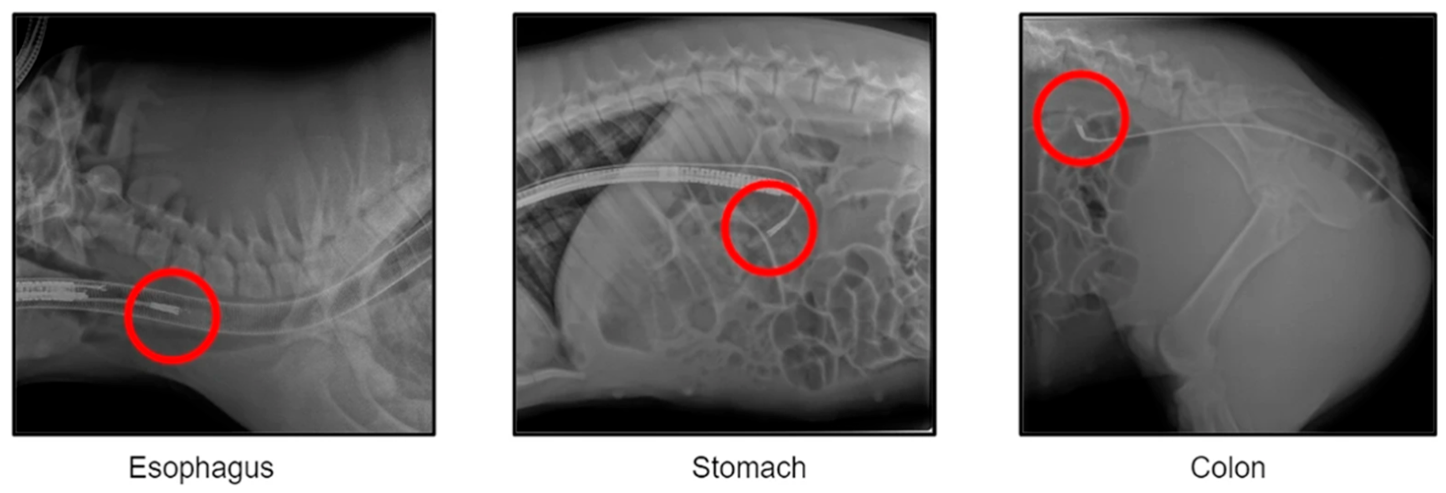 Microwave 01 00005 g025