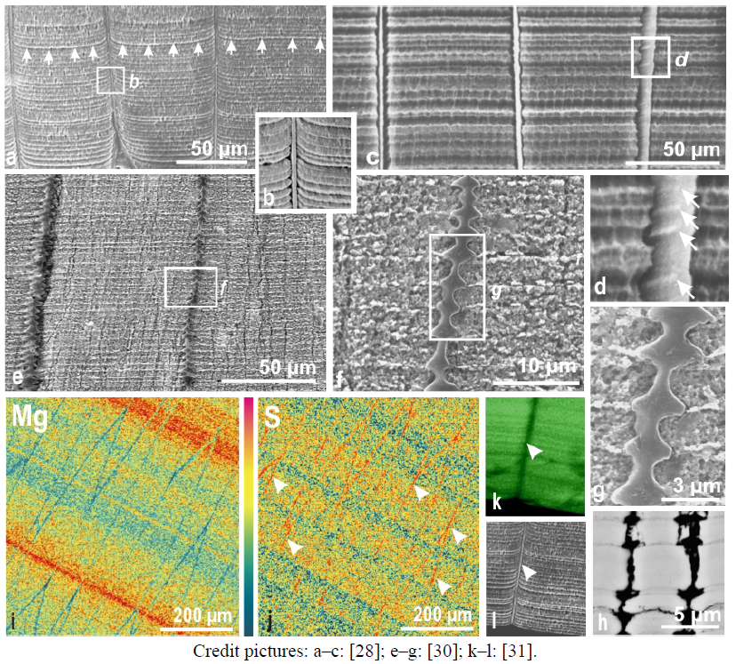 Minerals 02 00011 g002 1024