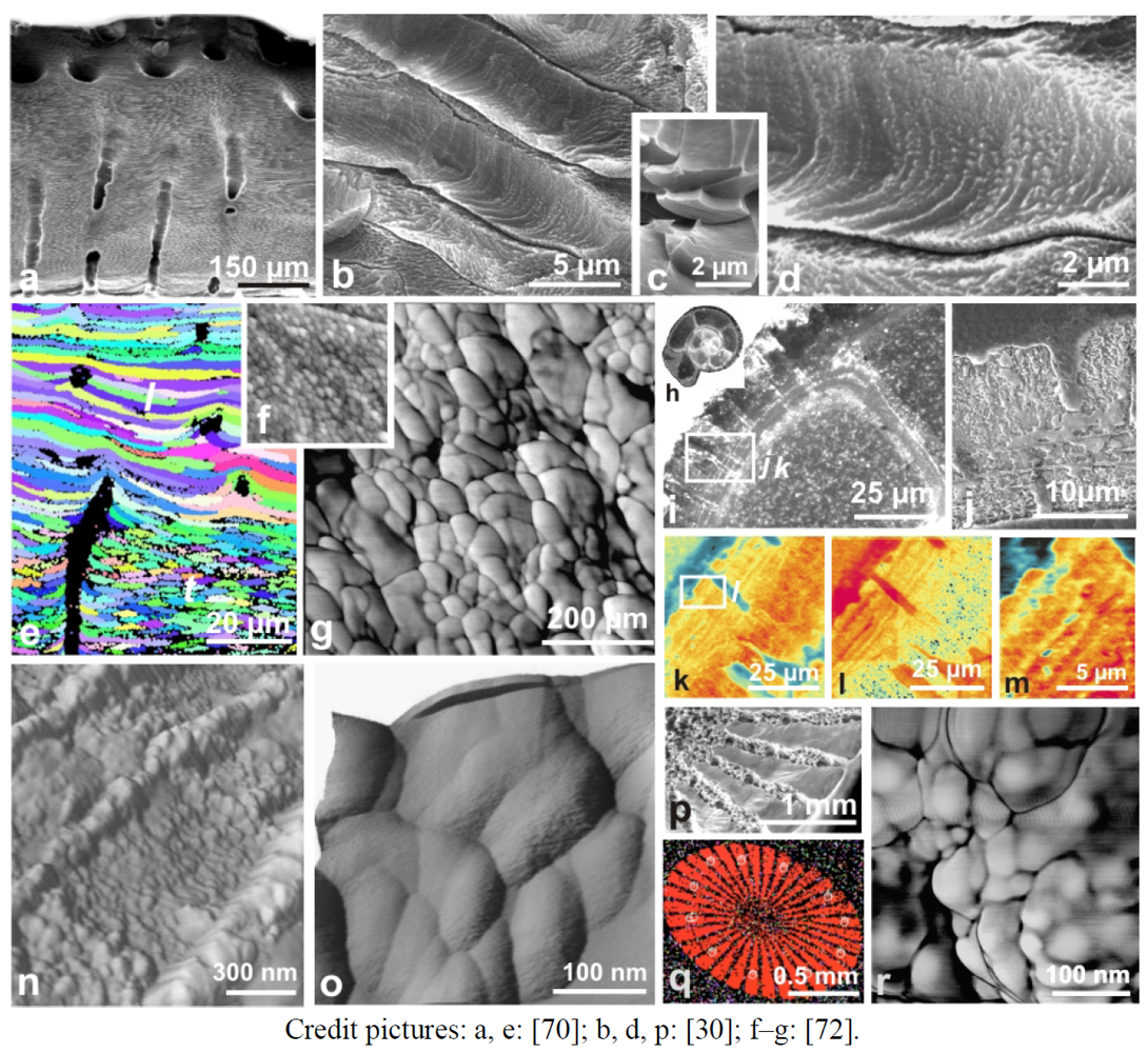 Minerals 02 00011 g008 1024