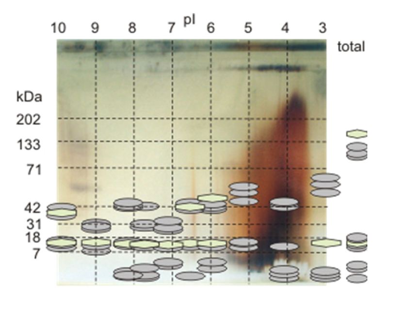 Minerals 02 00040 g007