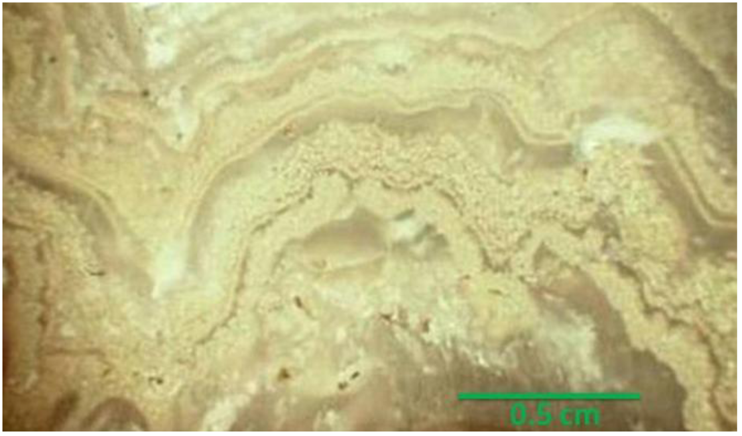 Minerals 02 00228 g002 1024