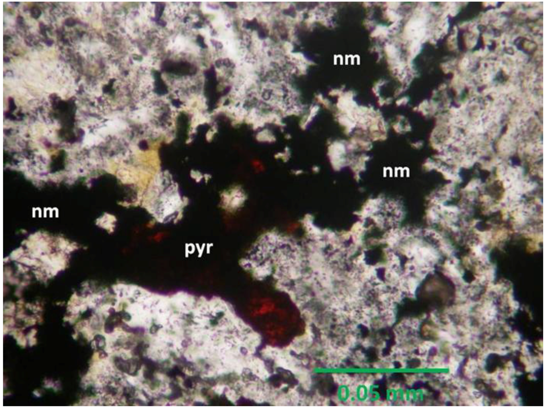 Minerals 02 00228 g008 1024