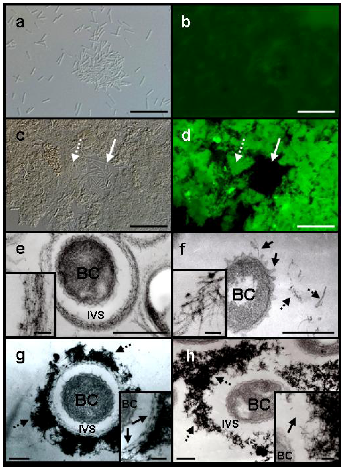 Minerals 03 00073 g002 1024