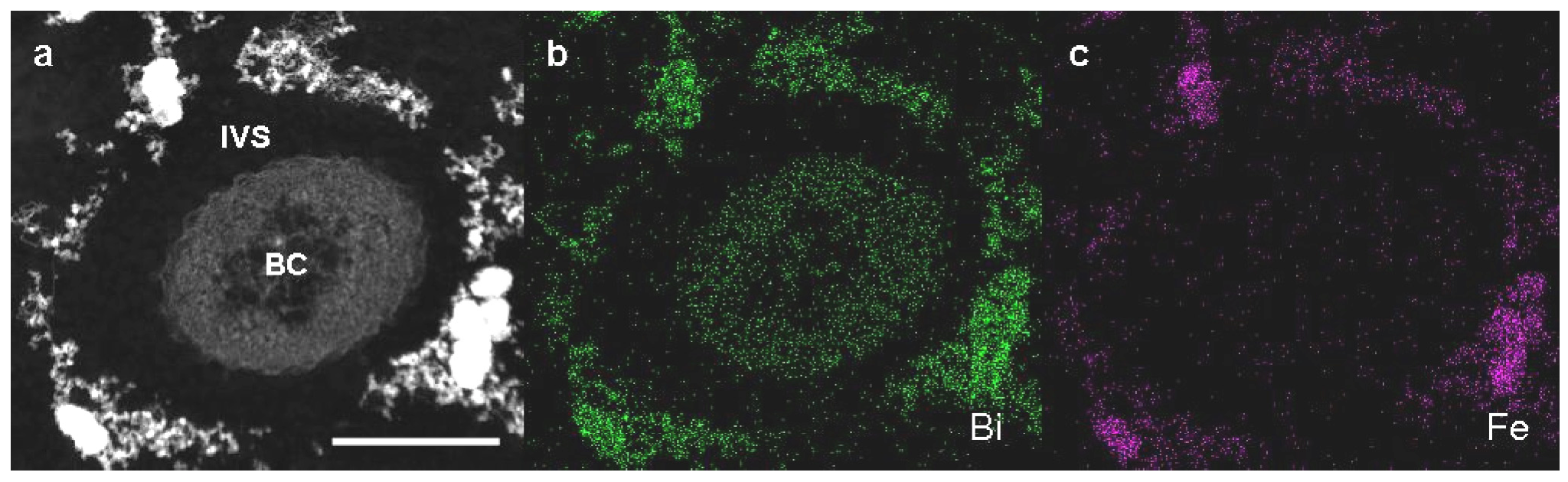 Minerals 03 00073 g003 1024