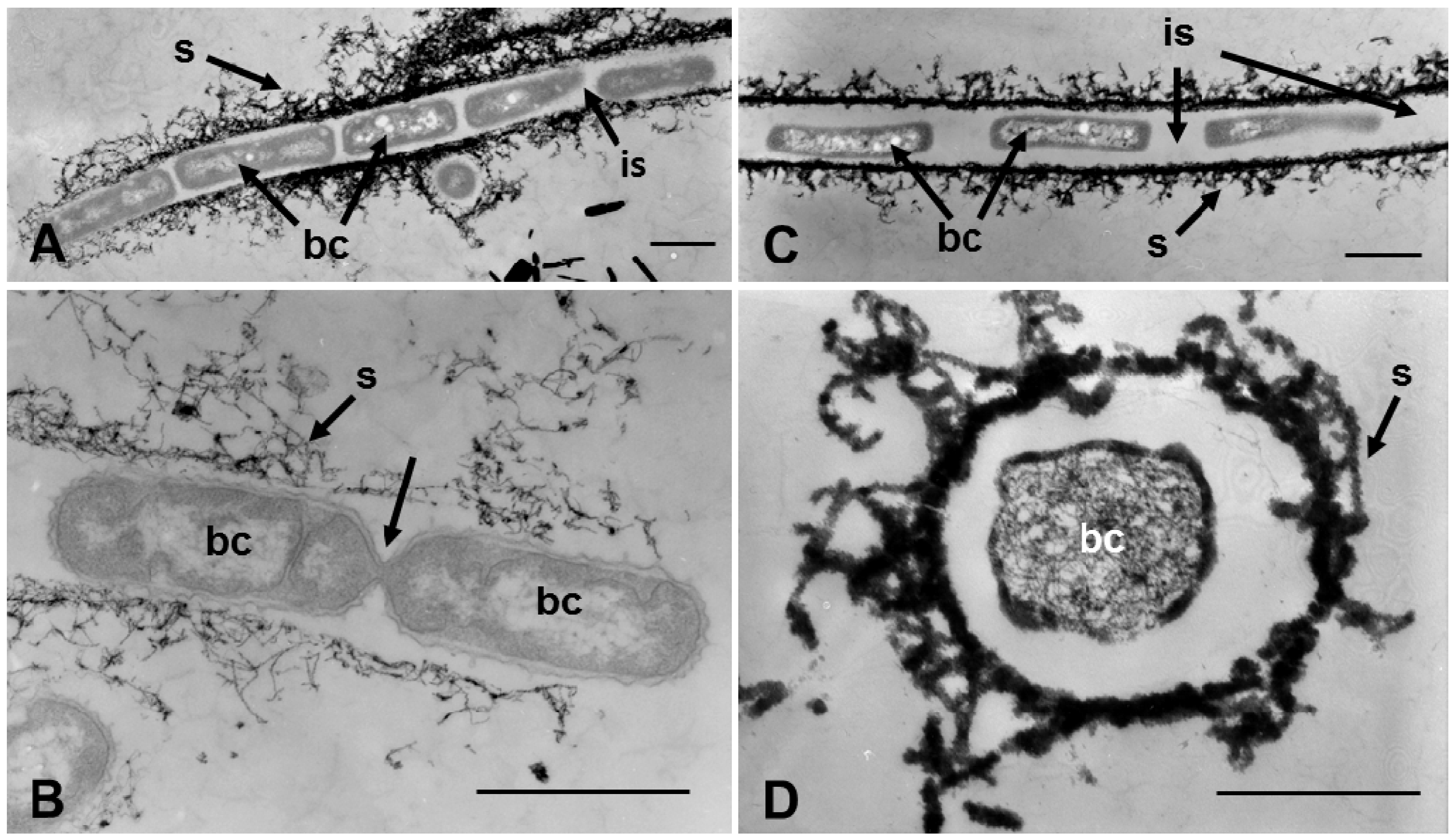 Minerals 03 00247 g005 1024