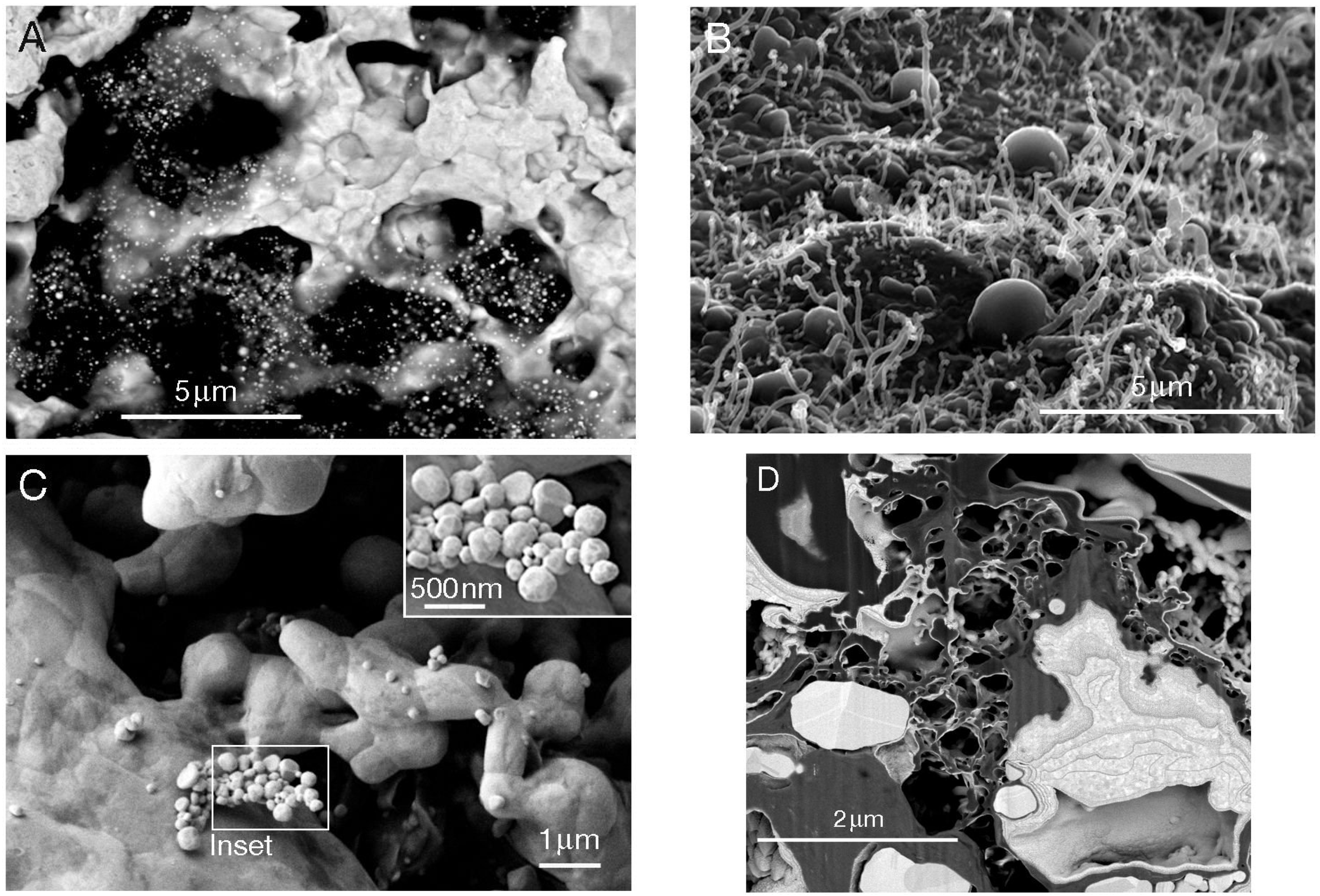 Minerals 03 00367 g003
