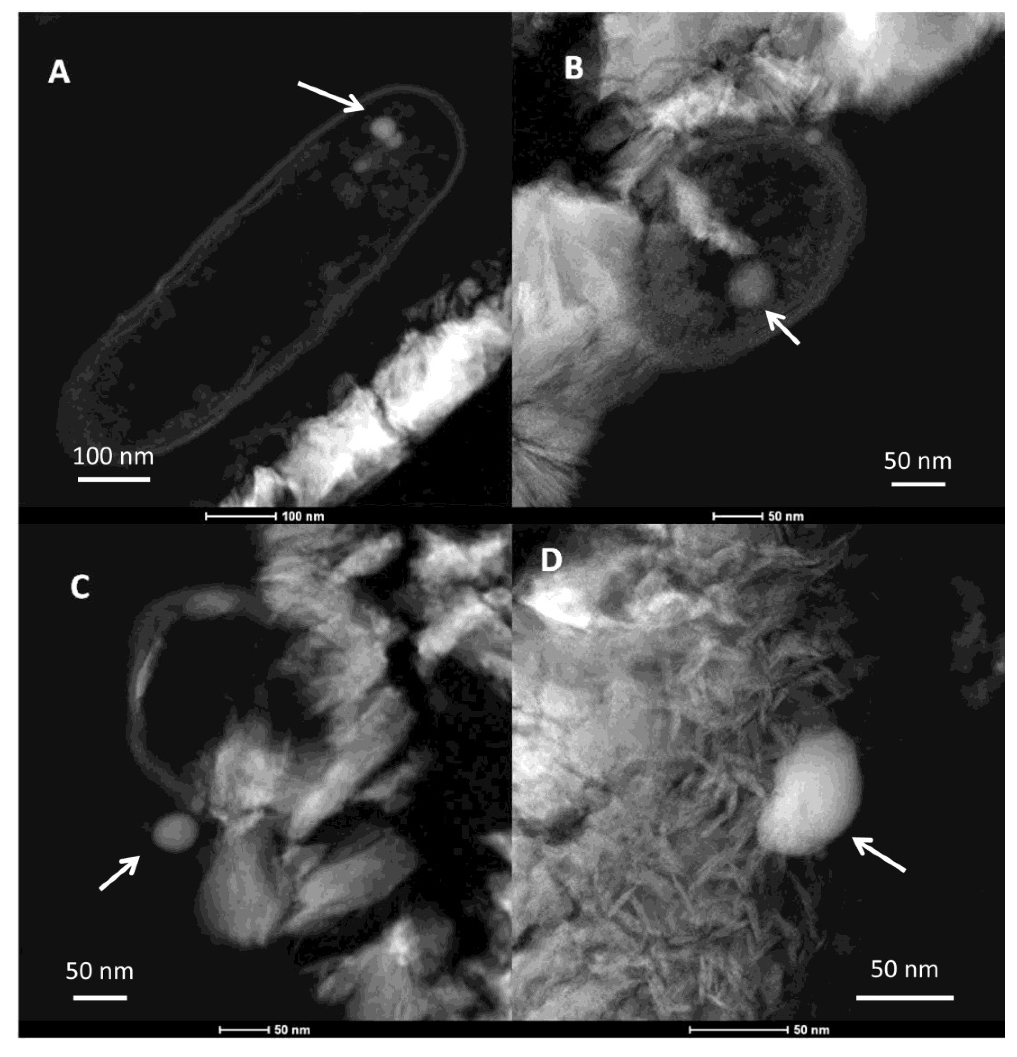 Minerals 04 00017 g006 1024