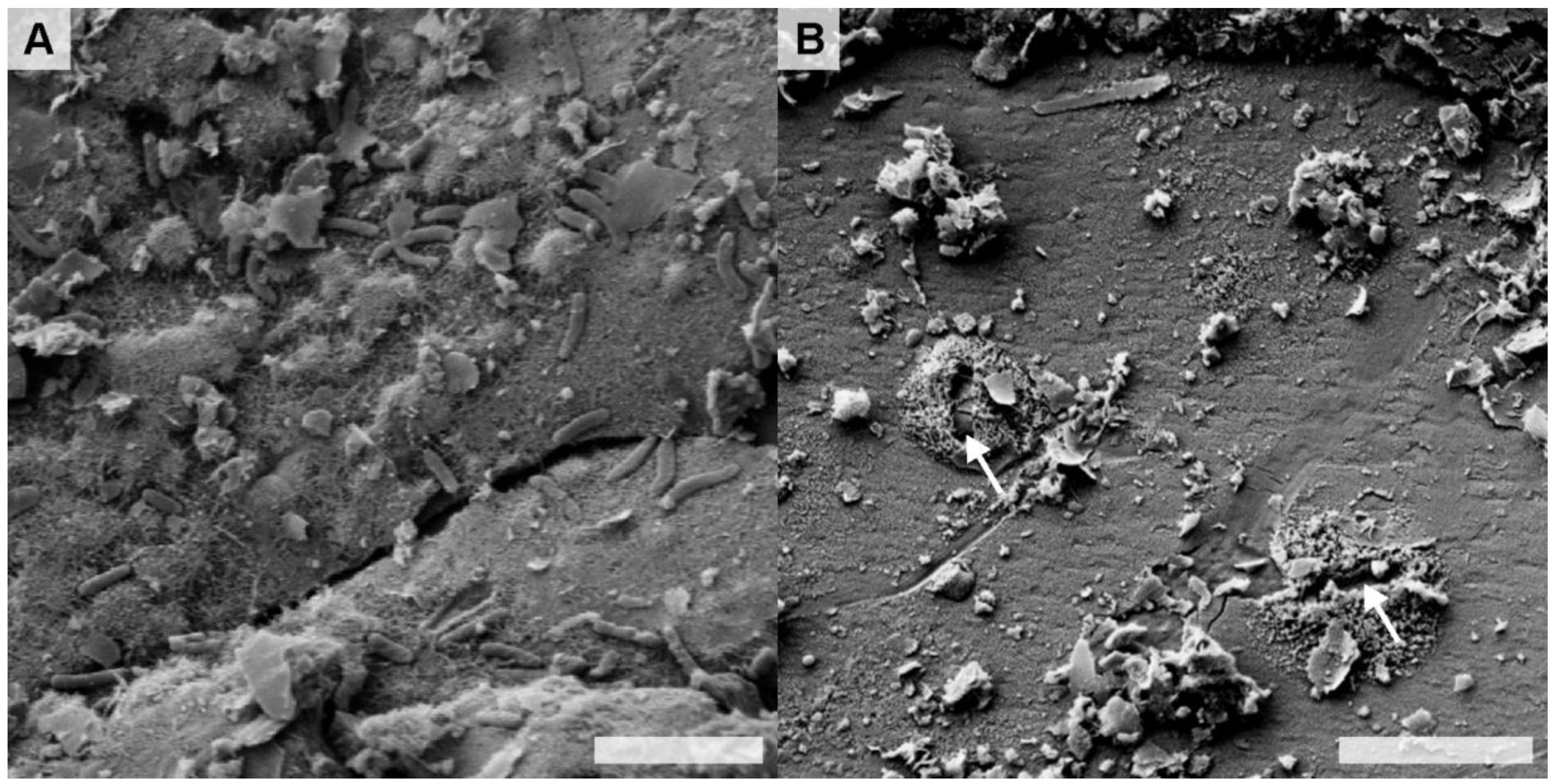 Minerals 04 00170 g003 1024