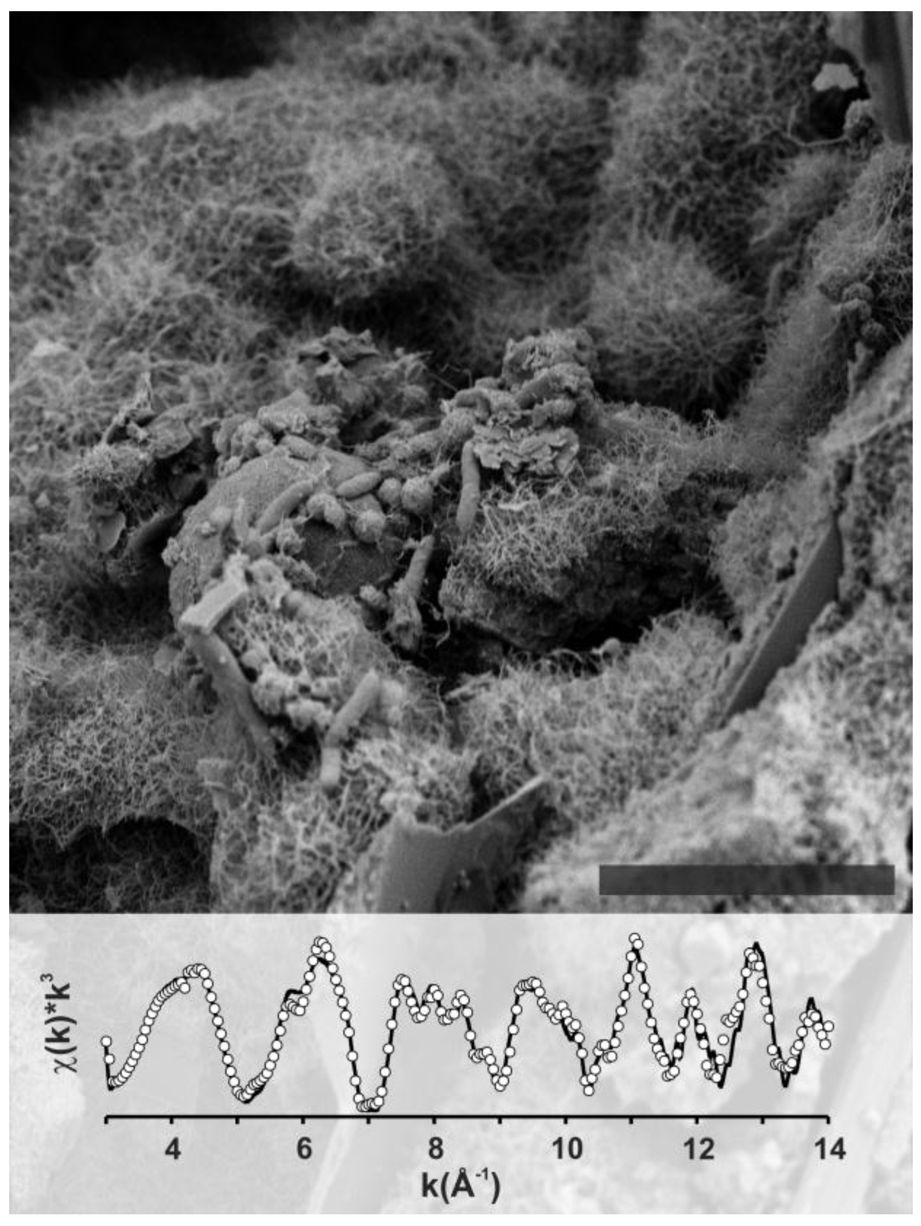 Minerals 04 00170 g005 1024