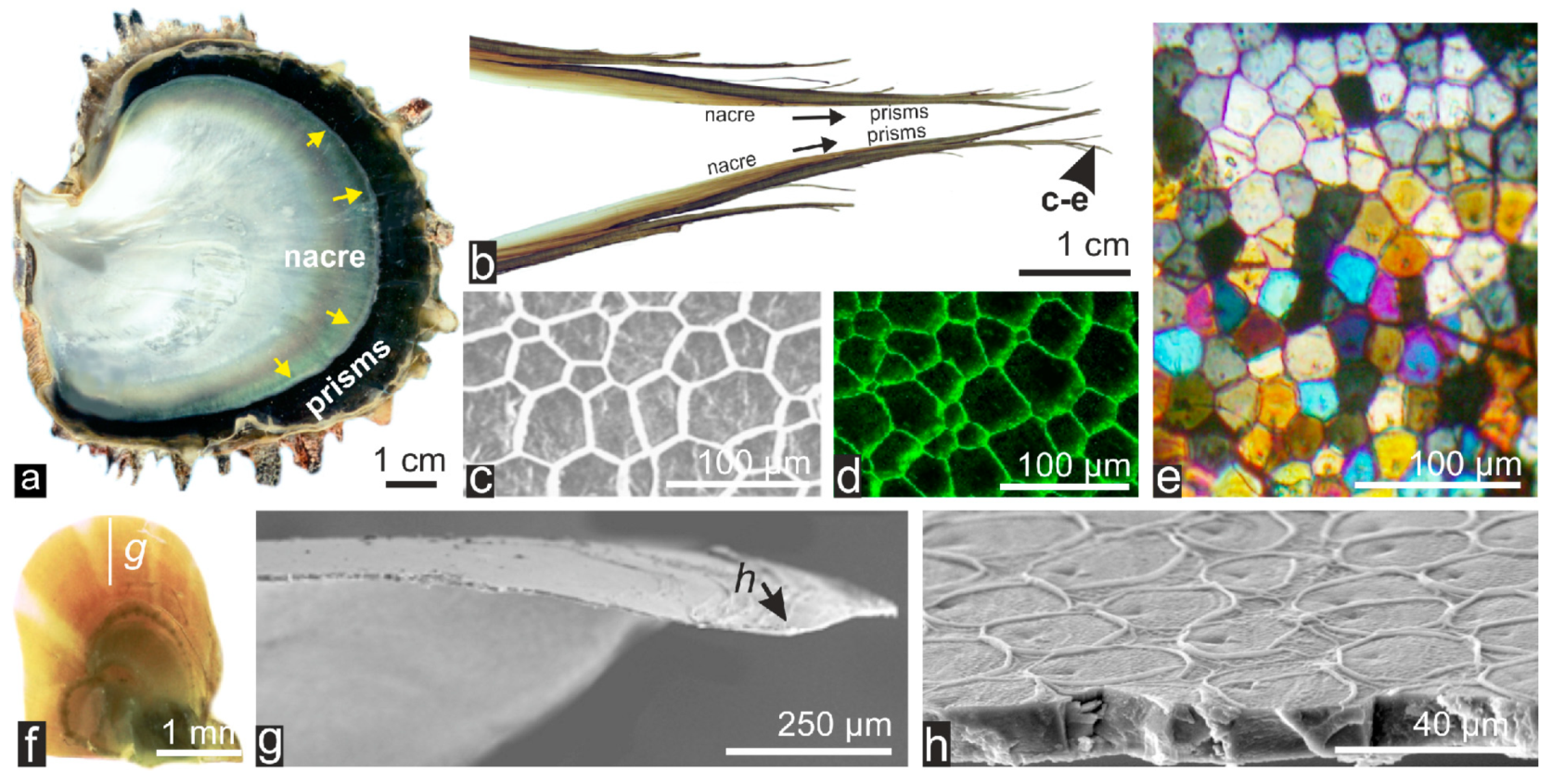 Minerals 04 00815 g001