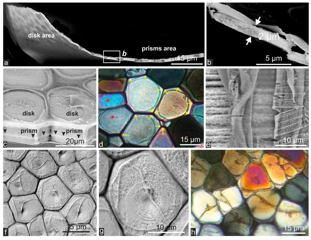 Minerals 04 00815 g005 1024