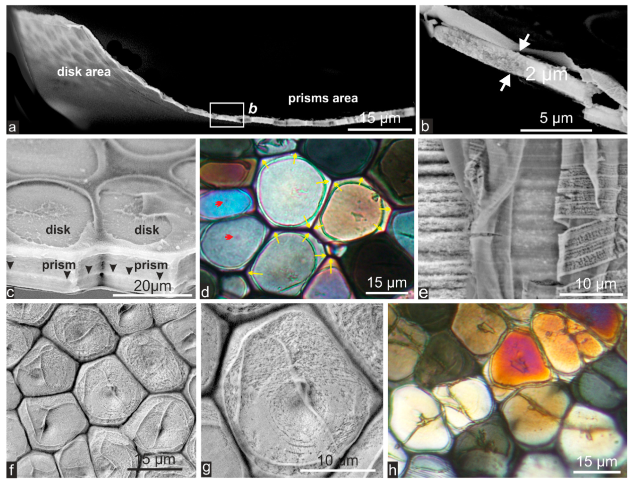 Minerals 04 00815 g005