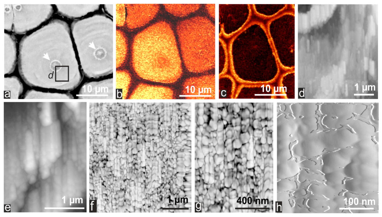 Minerals 04 00815 g009