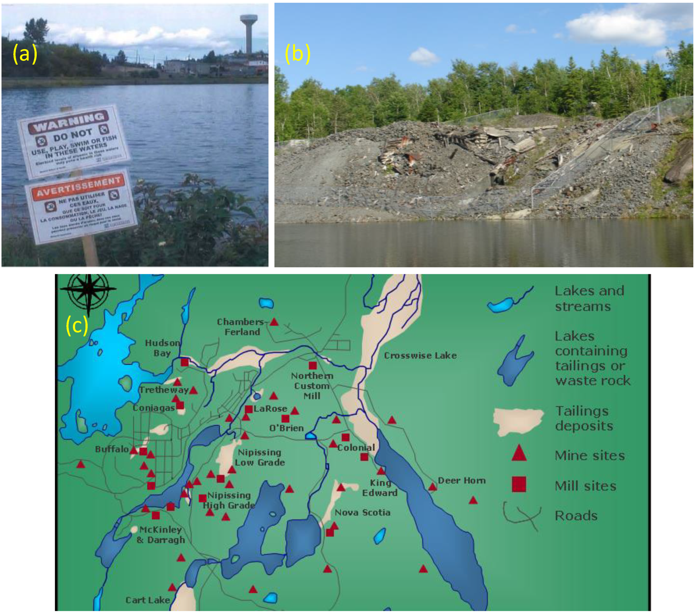 Minerals 05 00001 g008