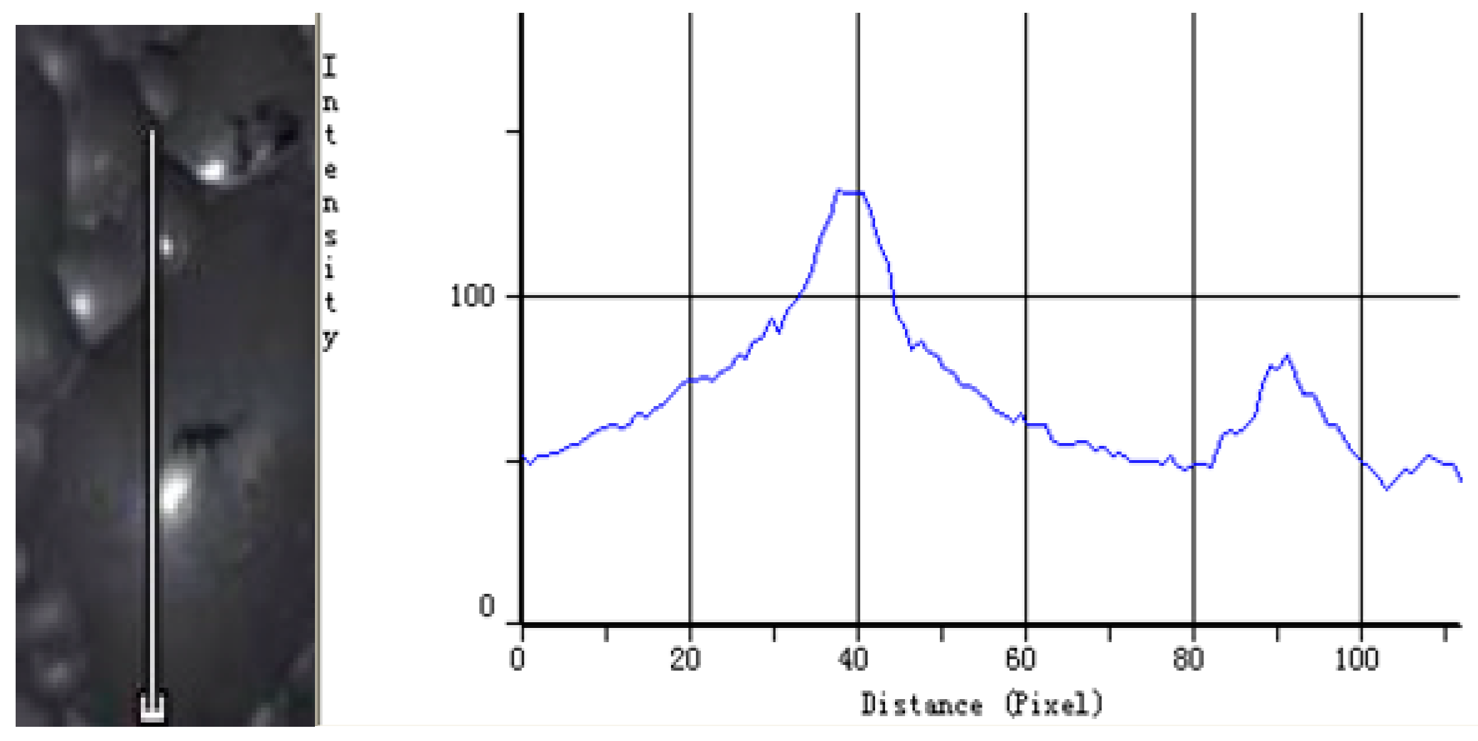 Minerals 05 00142 g003 1024