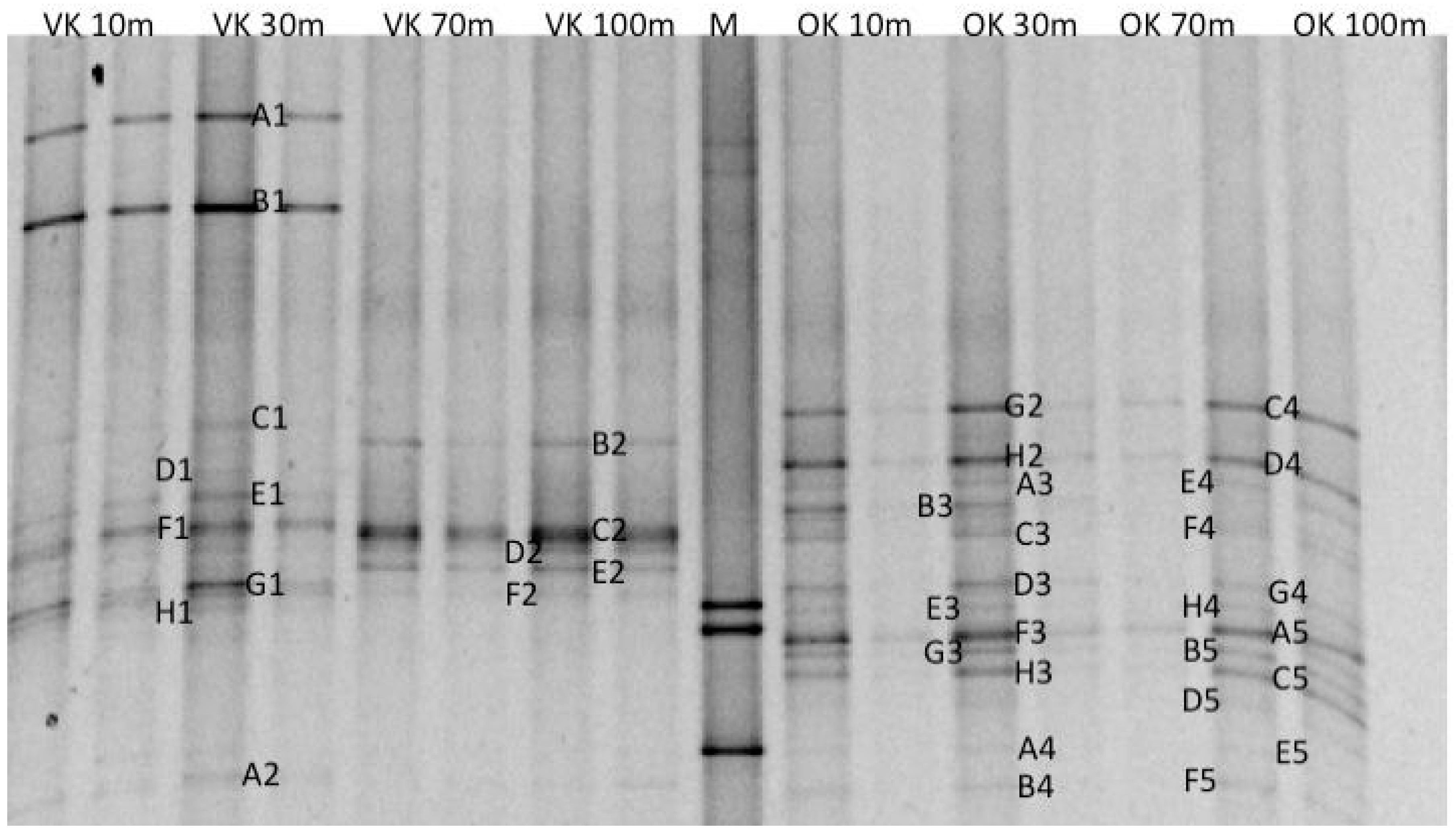 Minerals 05 00452 g004