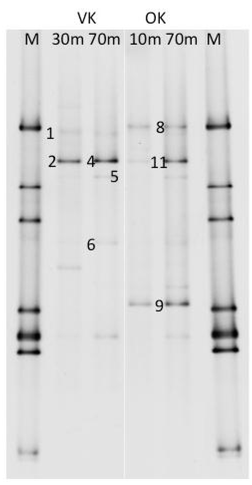 Minerals 05 00452 g007
