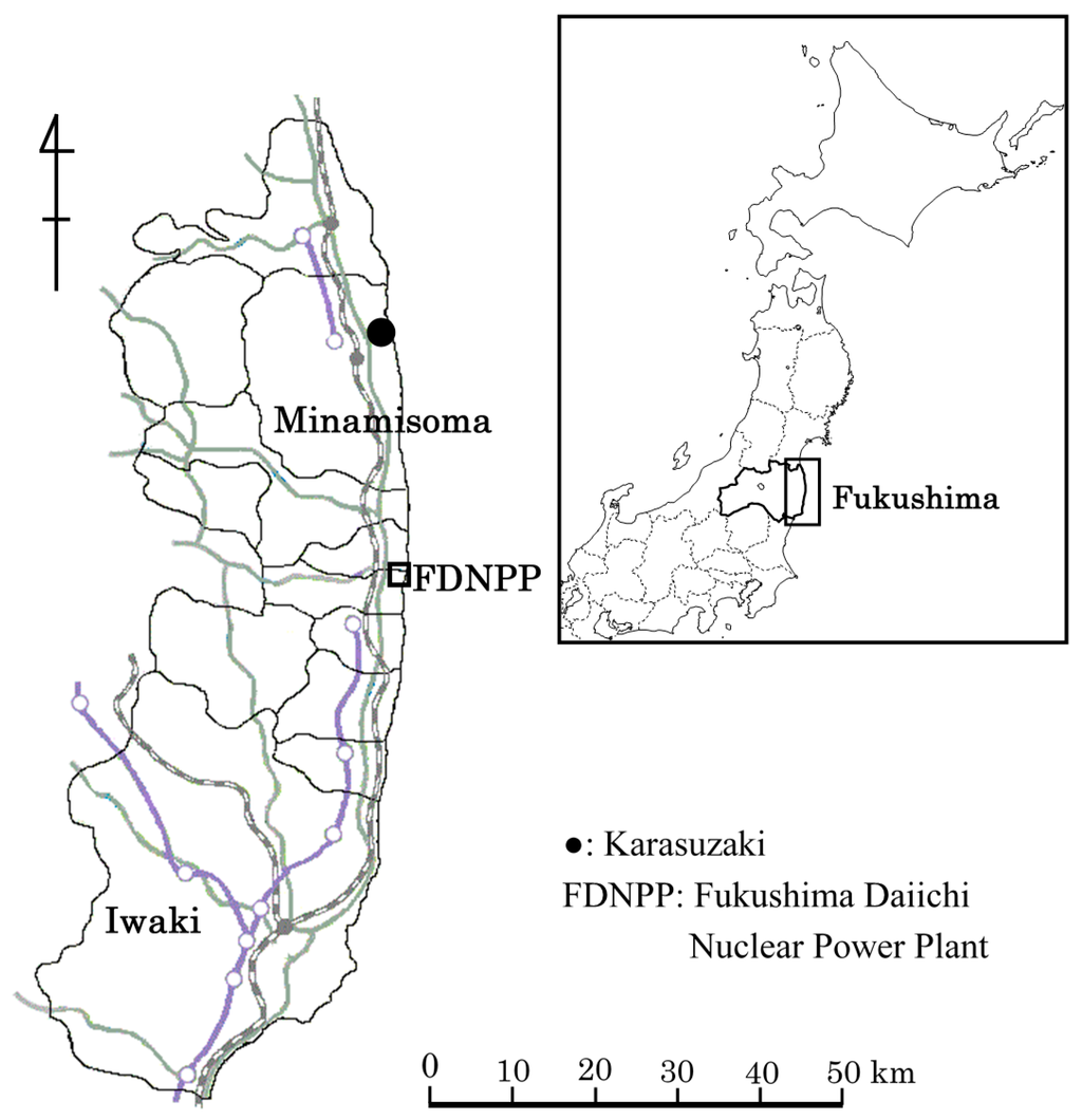 Minerals Free FullText Formation of Microbial Mats and Salt in