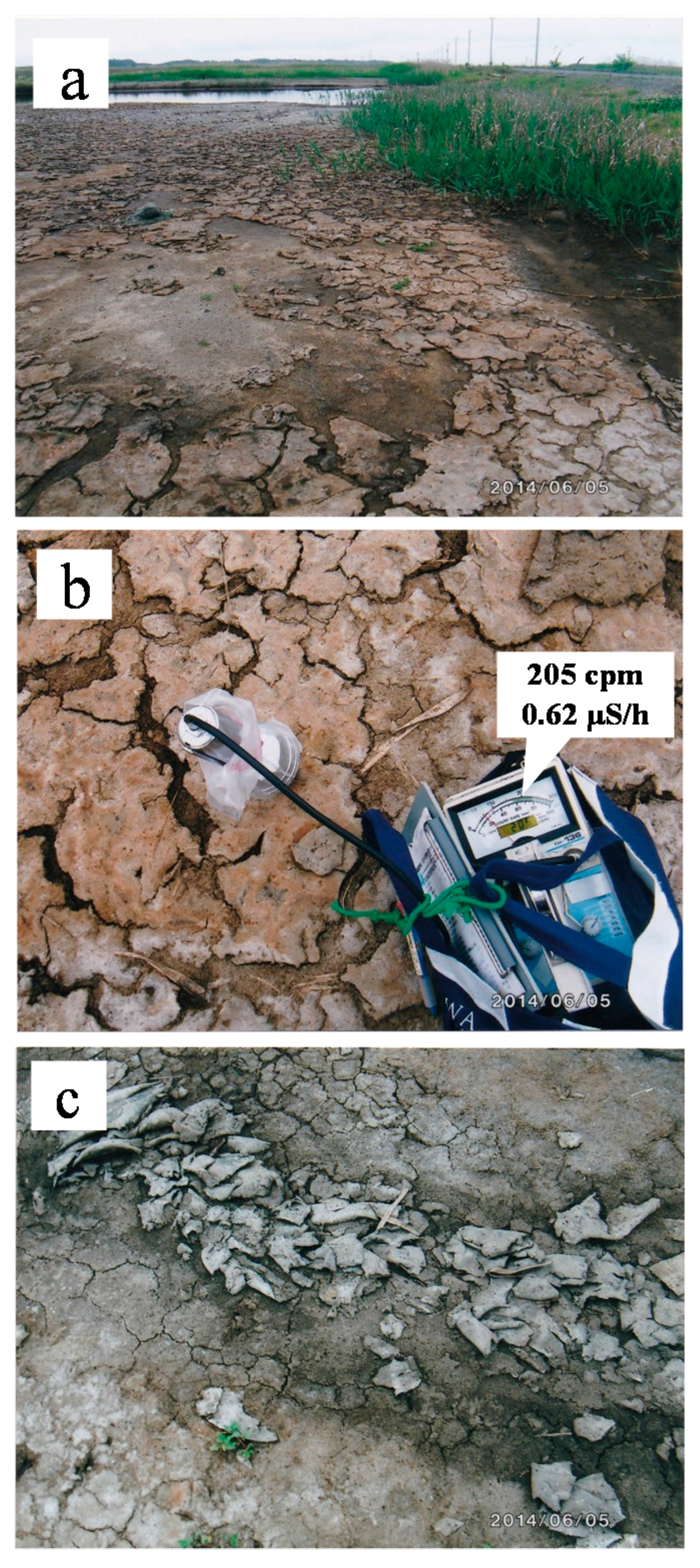 Minerals 05 00529 g002