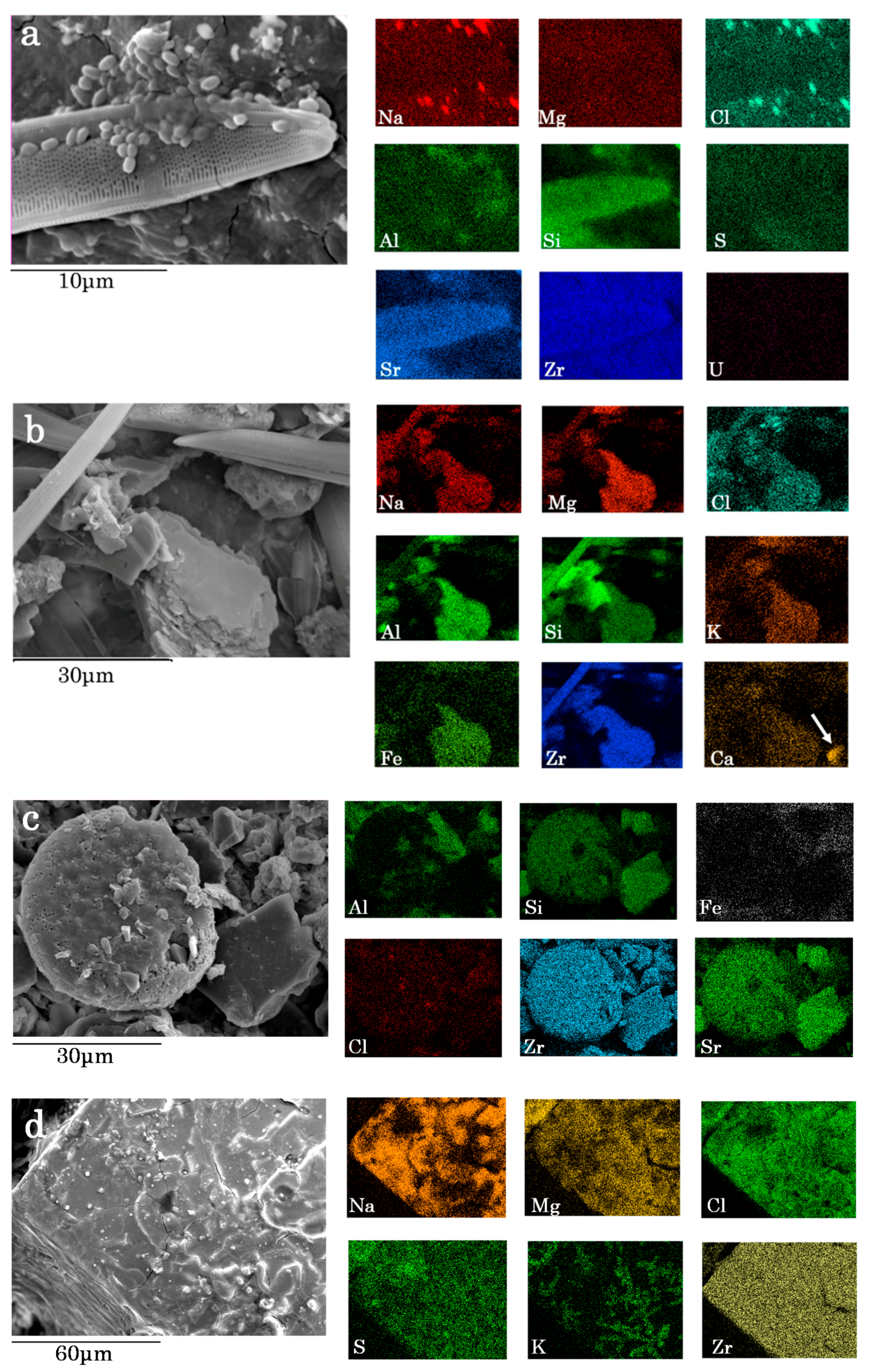 Minerals 05 00529 g004