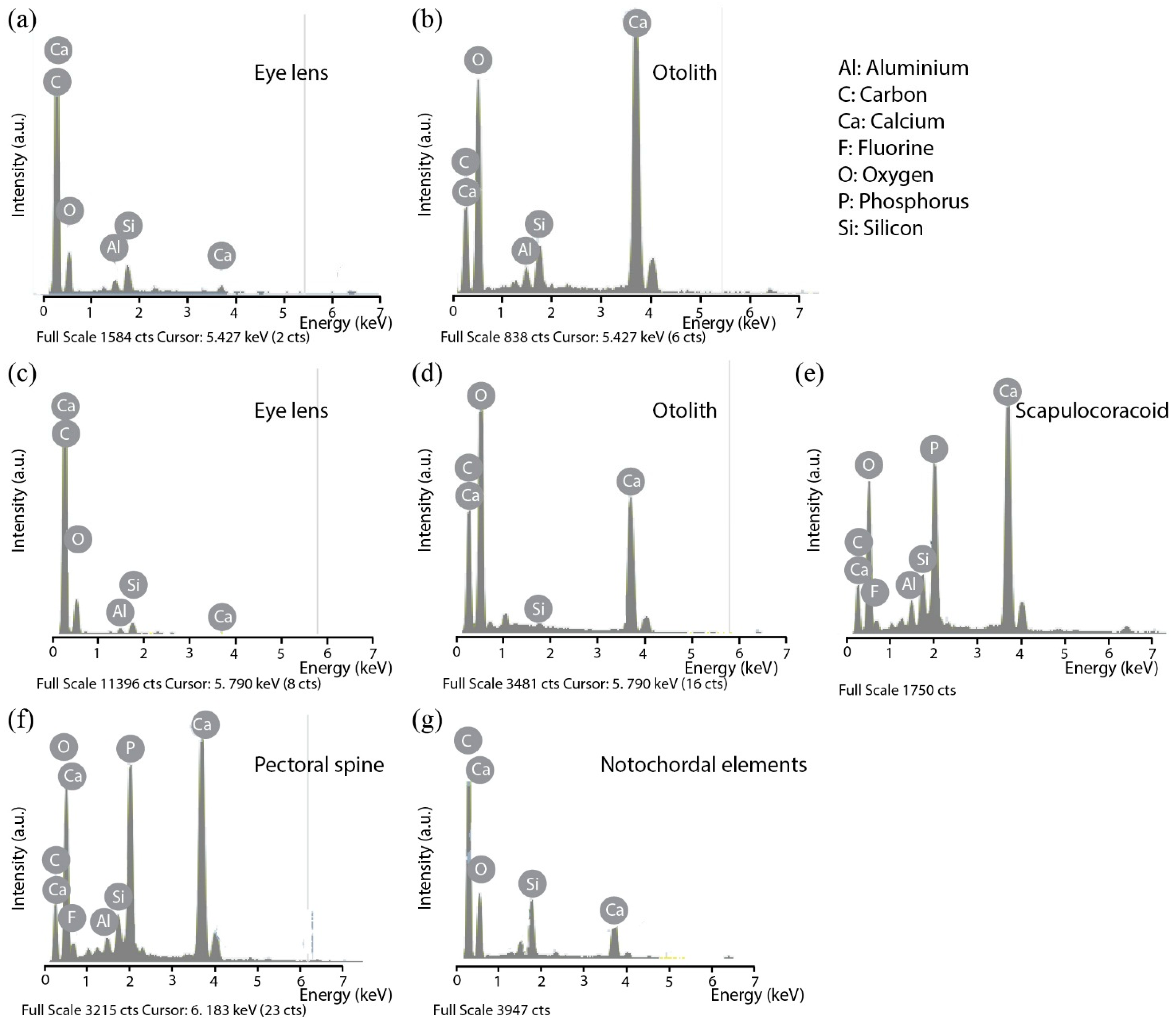 Minerals 06 00001 g003
