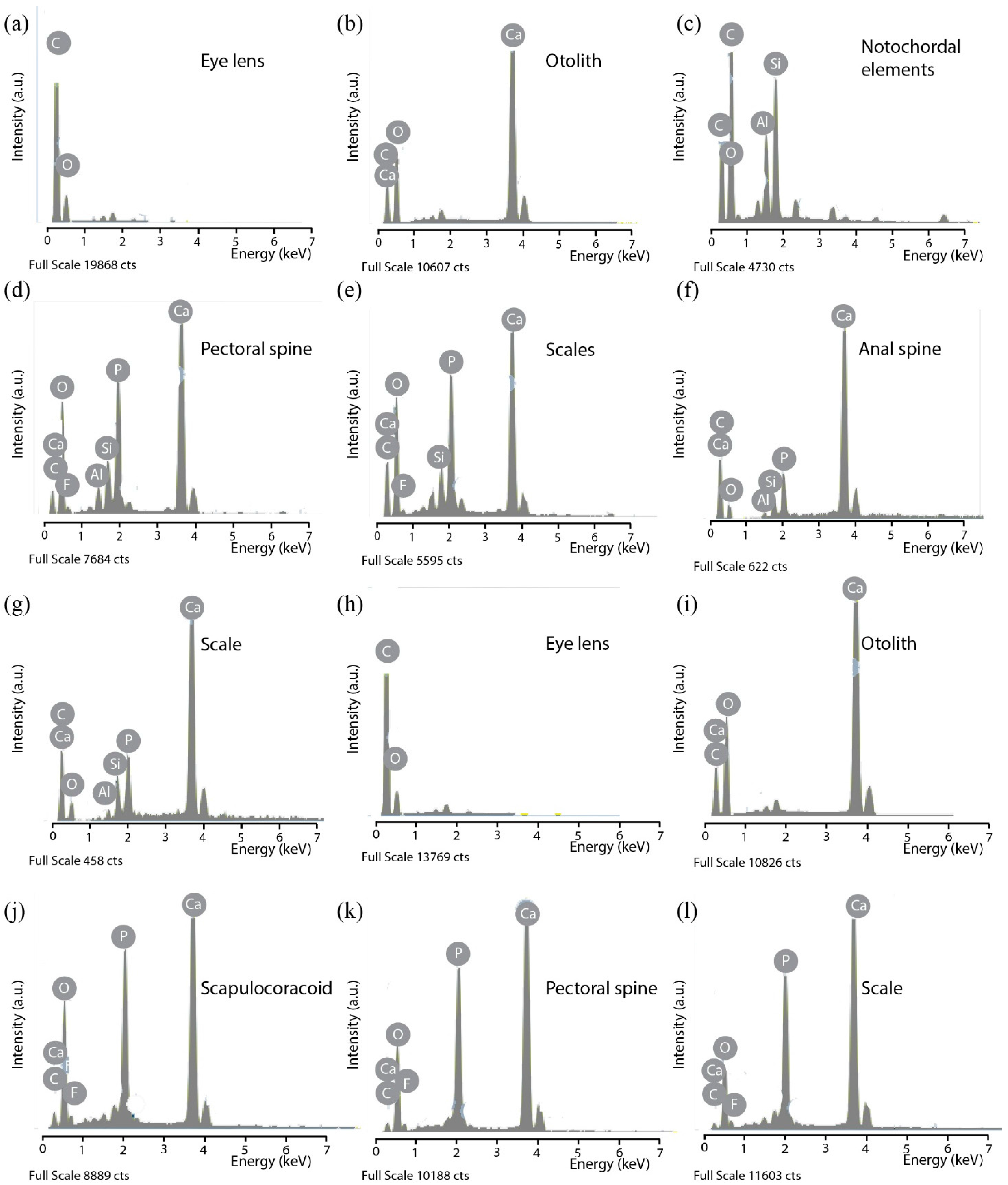 Minerals 06 00001 g004