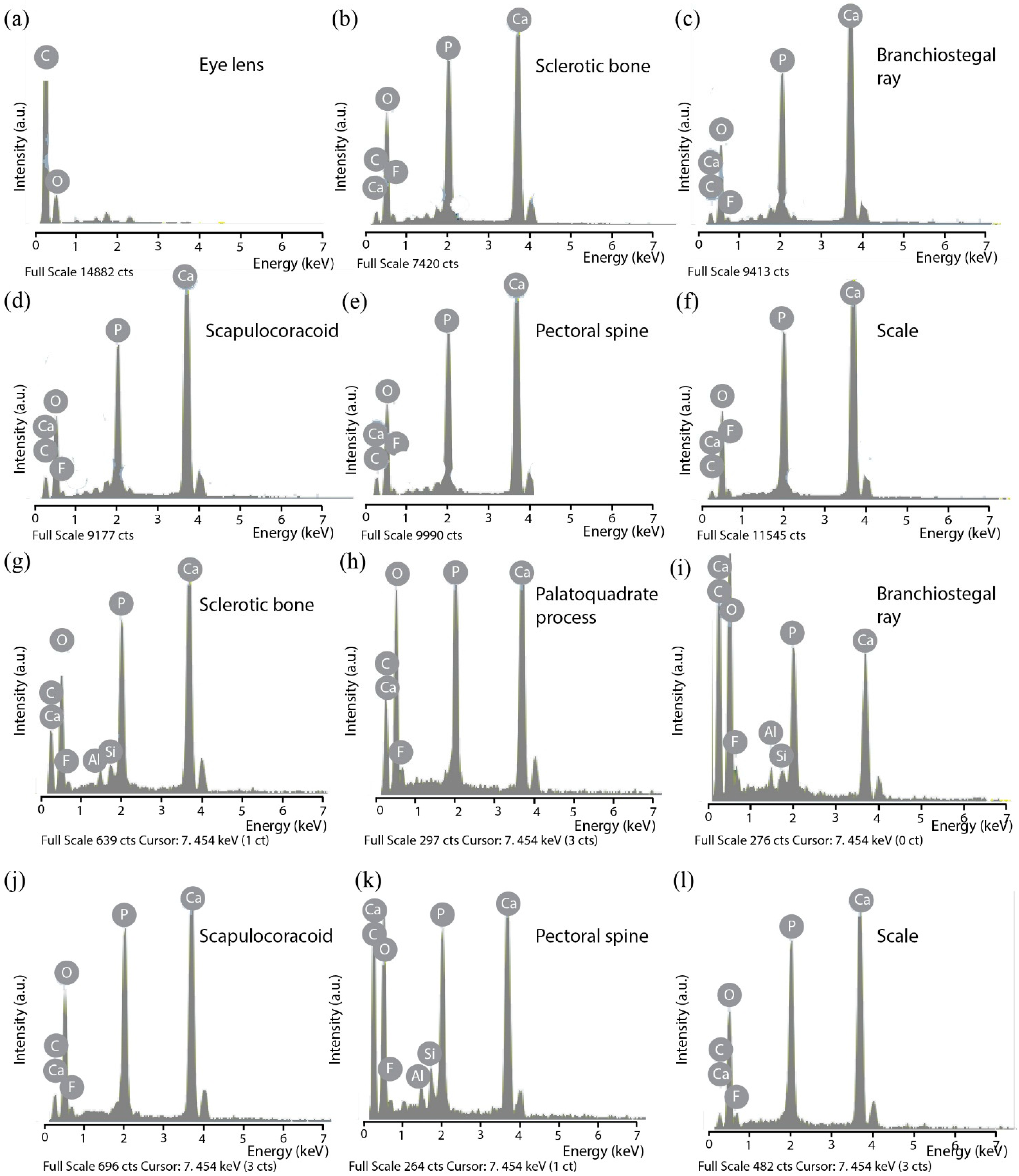 Minerals 06 00001 g005