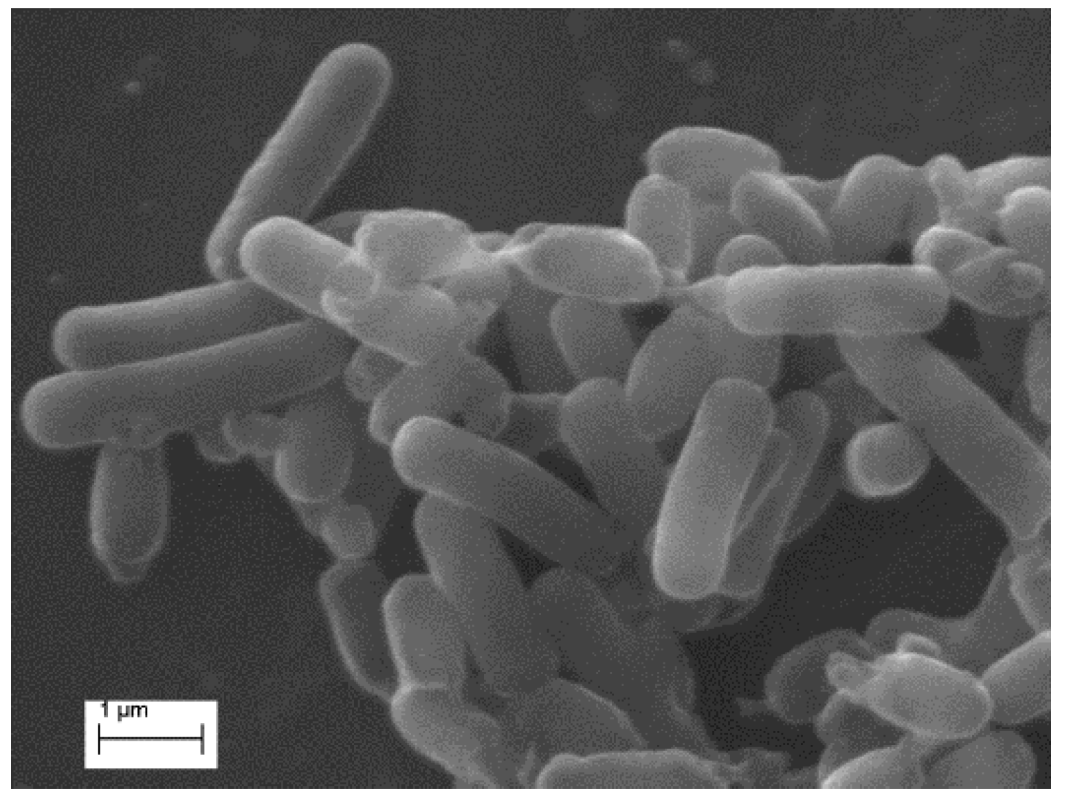 Minerals 06 00012 g001 1024