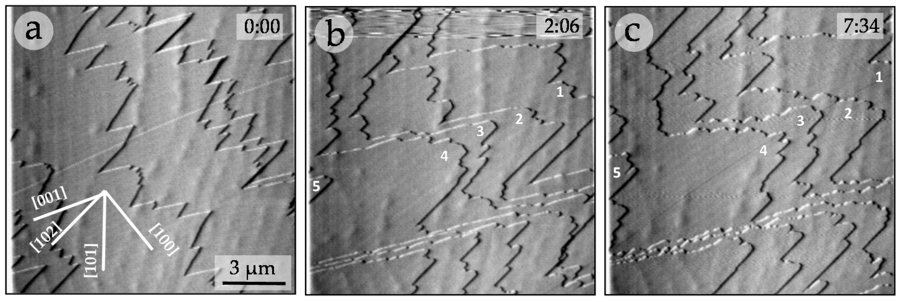 Minerals 06 00022 g002