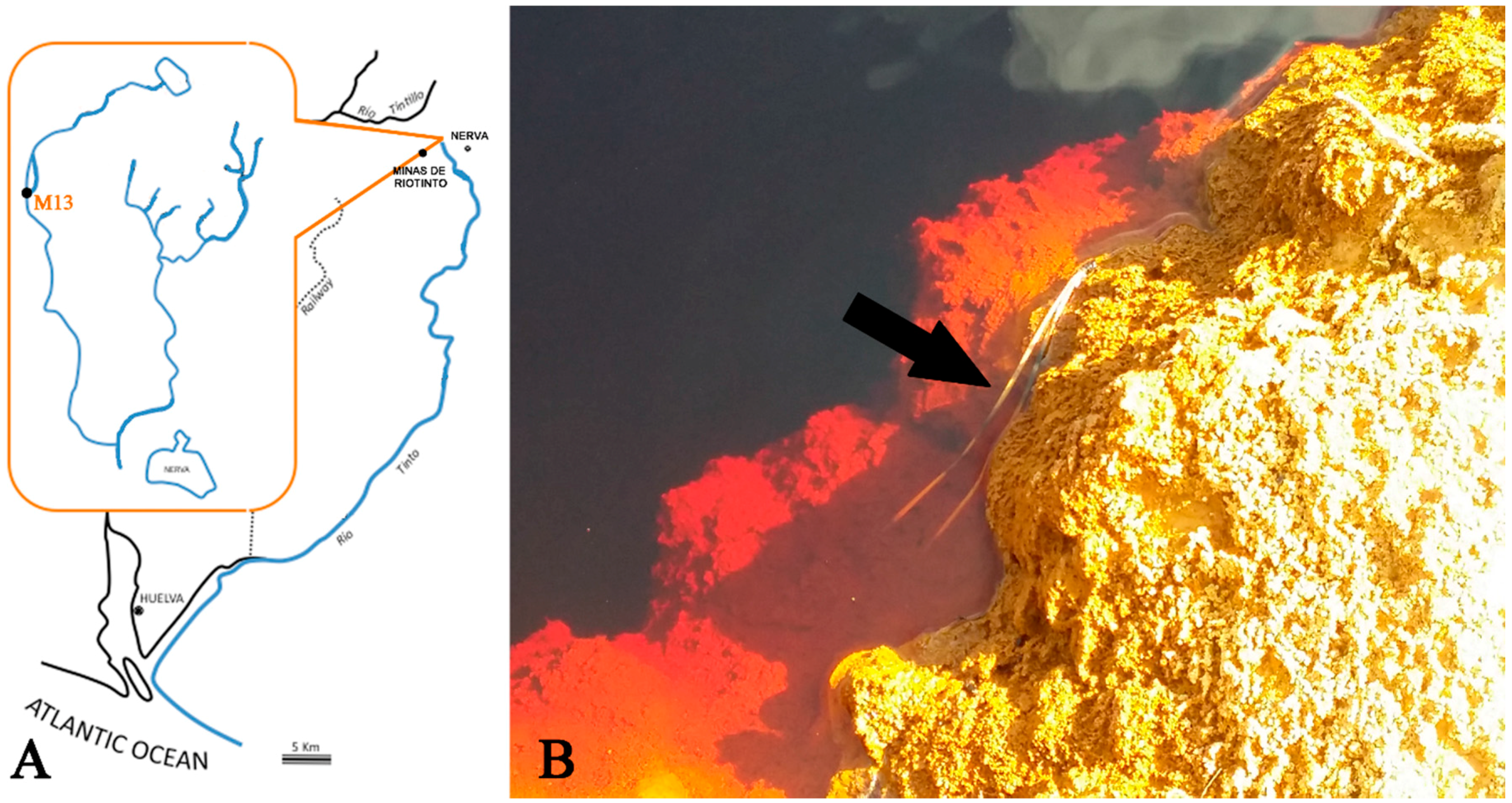 Minerals 06 00037 g001