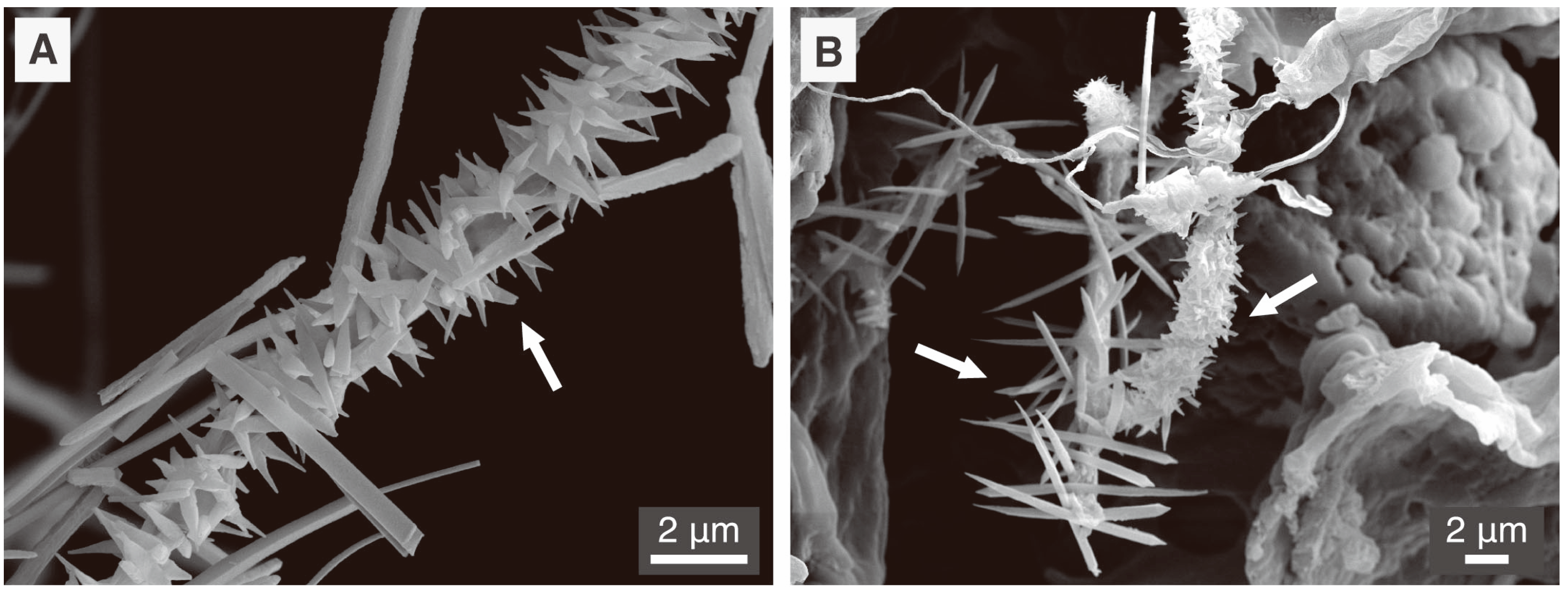 Minerals 06 00041 g004